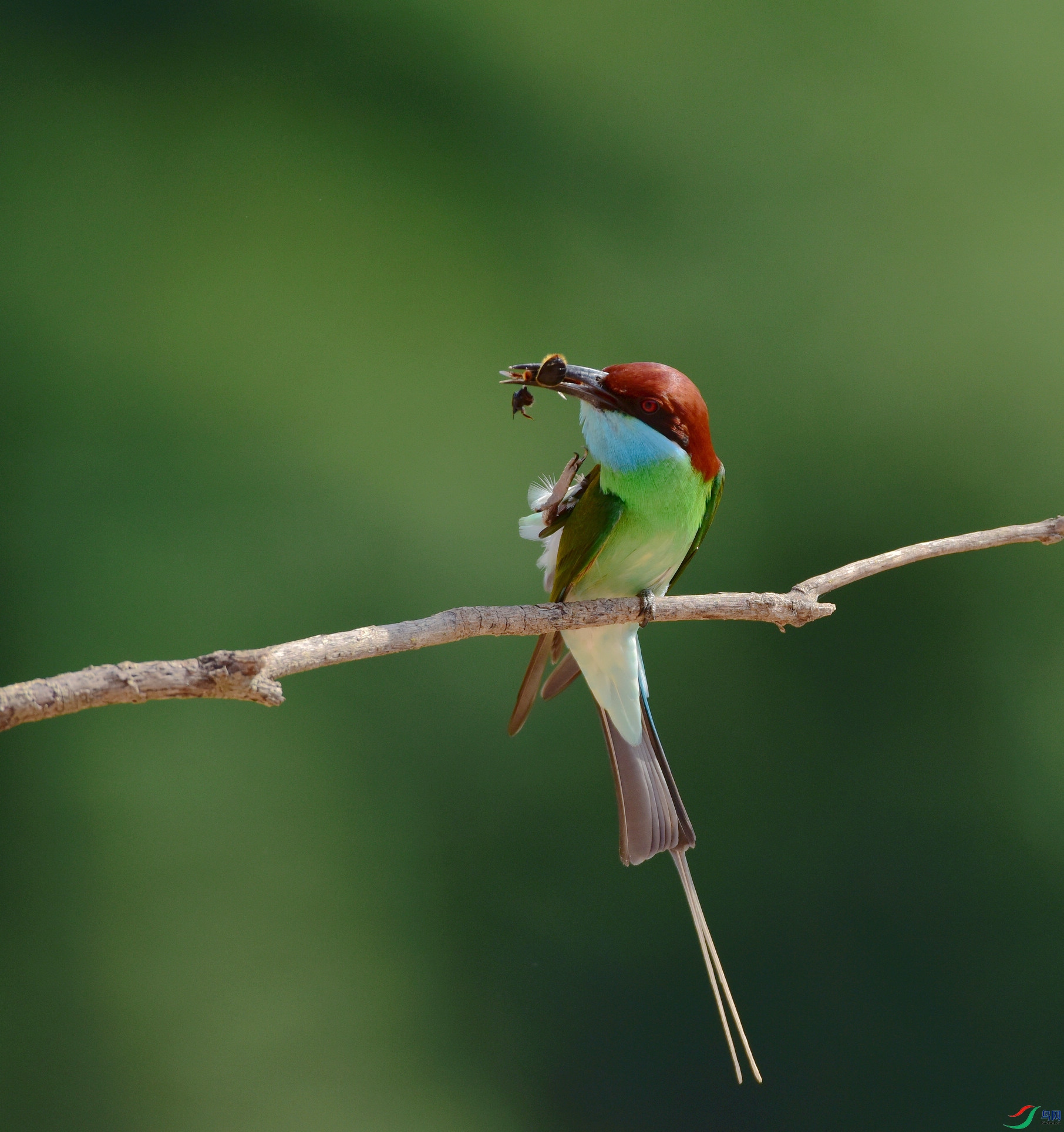 D8I_6580.jpg