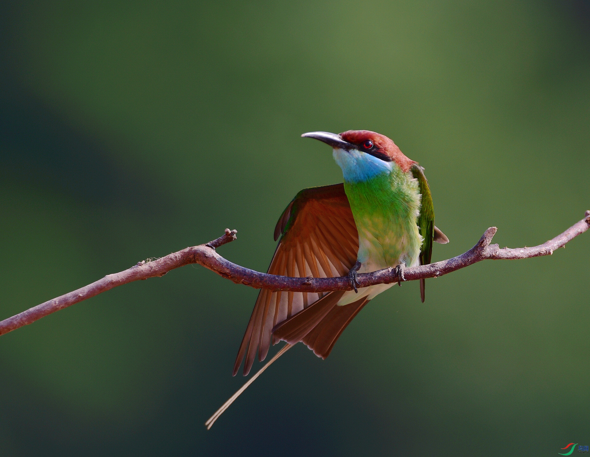 D8I_6958.jpg