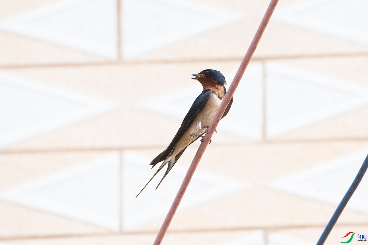 DSC_0151.jpg