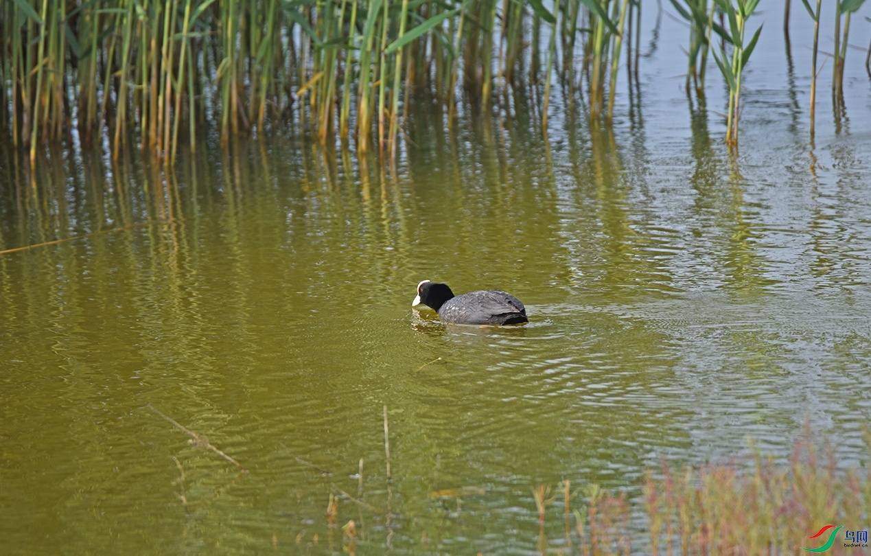 DSC_0750�׹Ƕ�.jpg