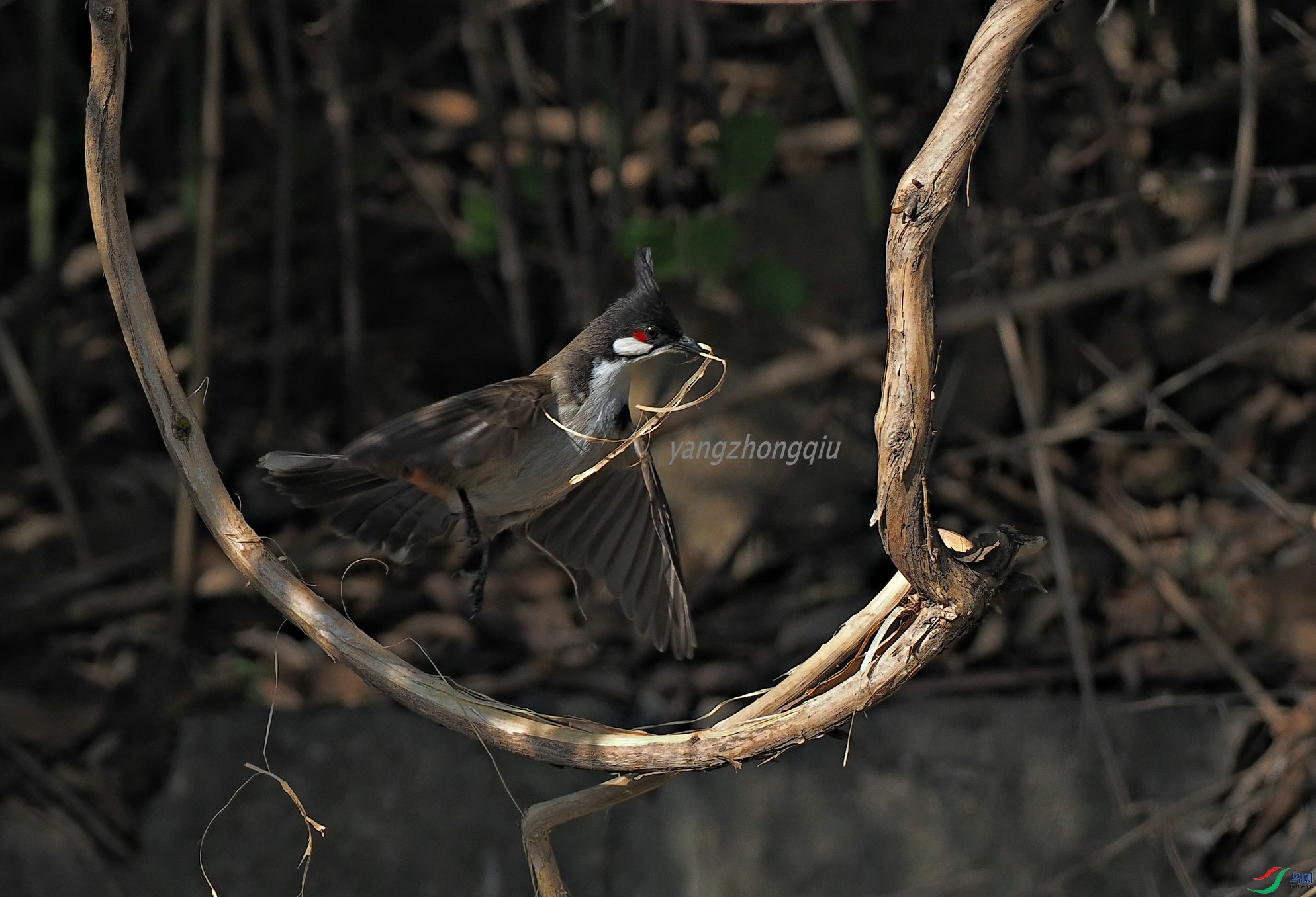 1�͵�ȡ������