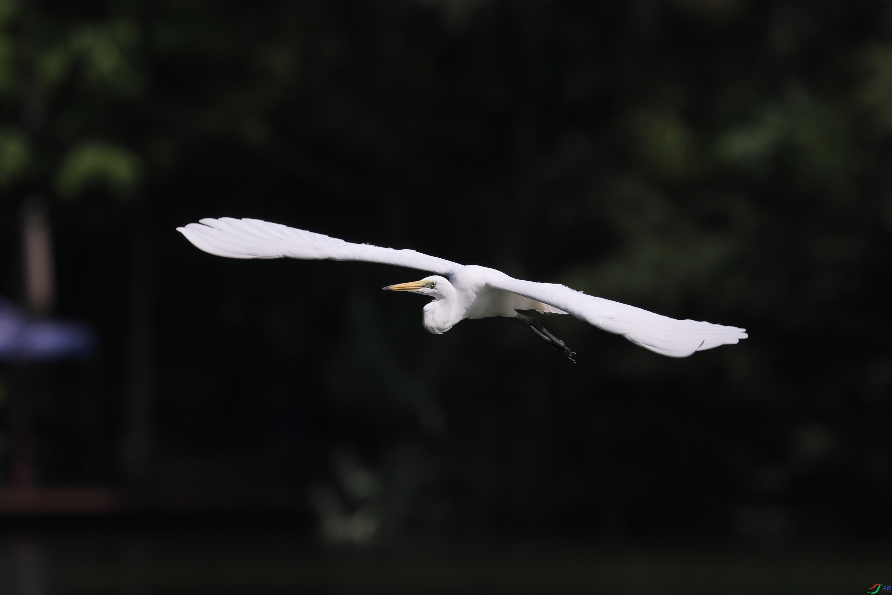 BL7A5238.JPG