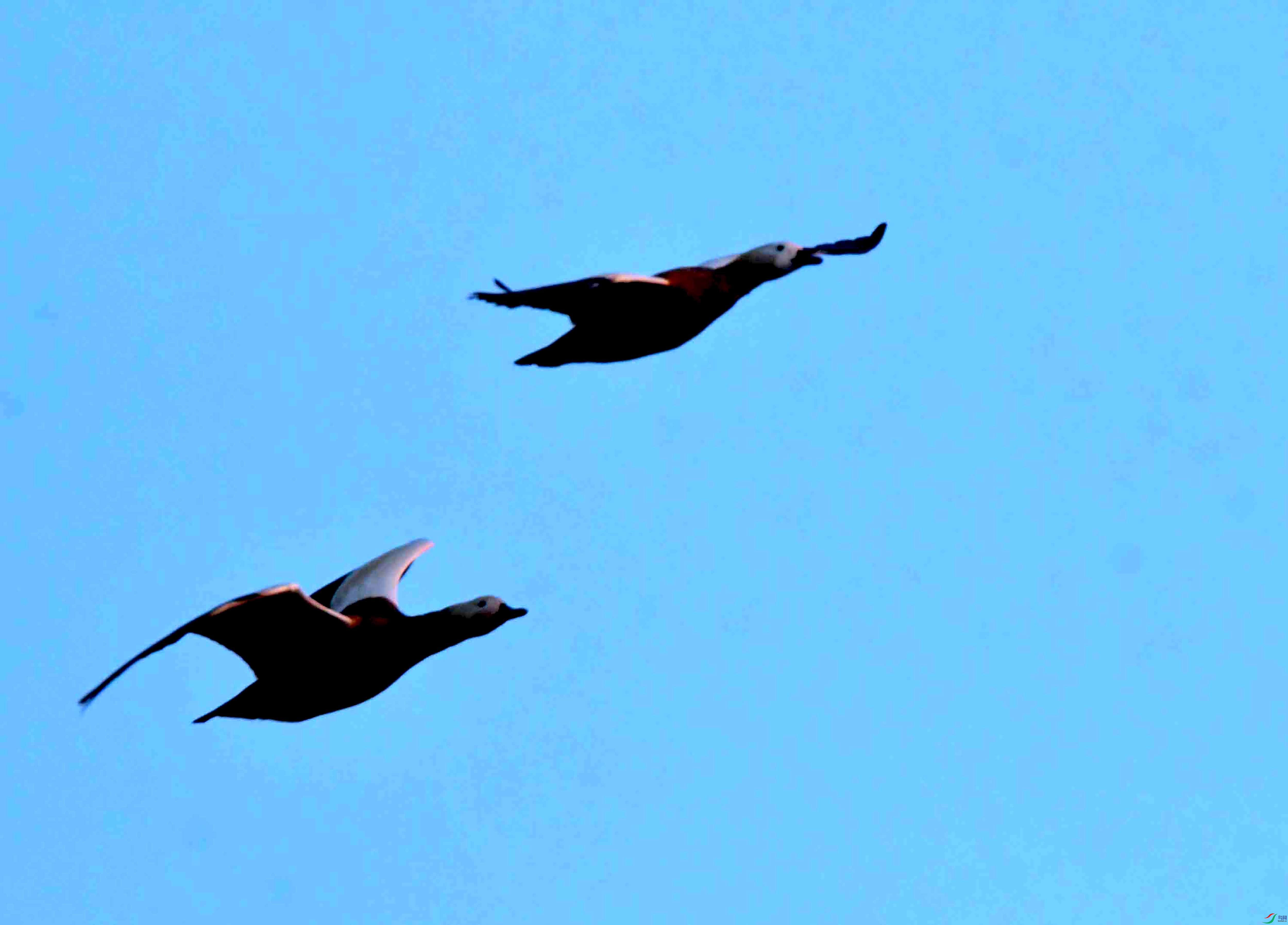 DSC_8632.JPG