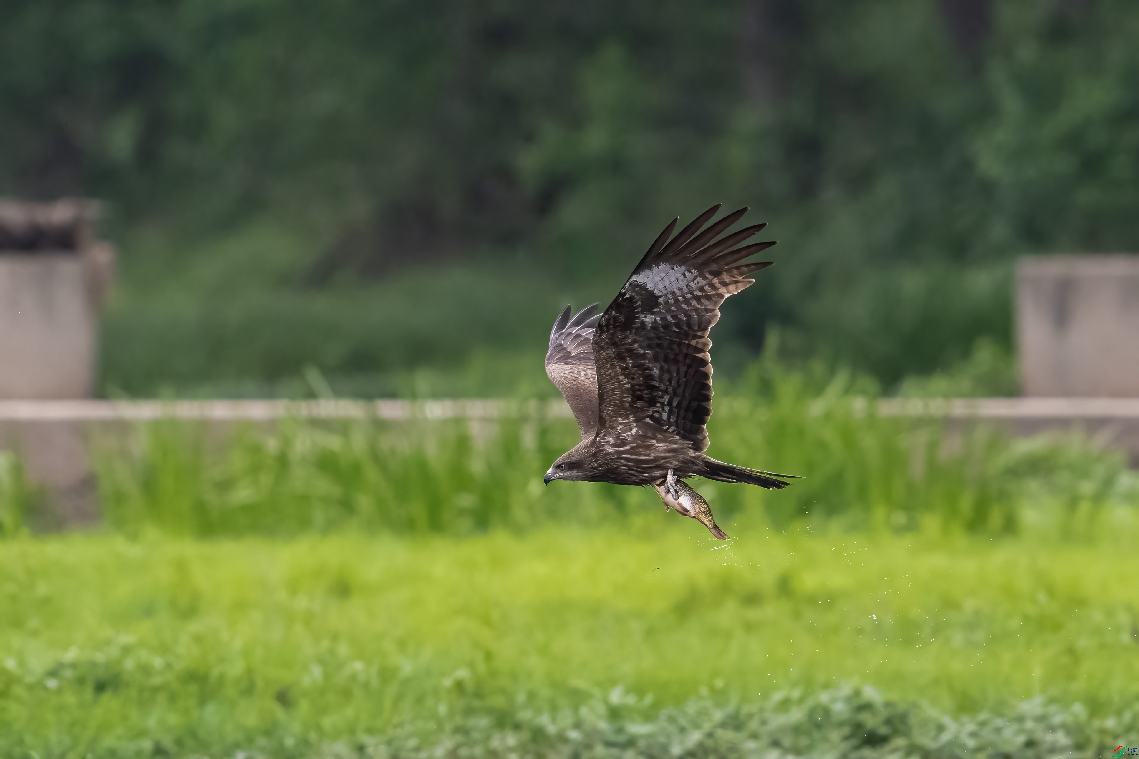 DSC_5421.jpg