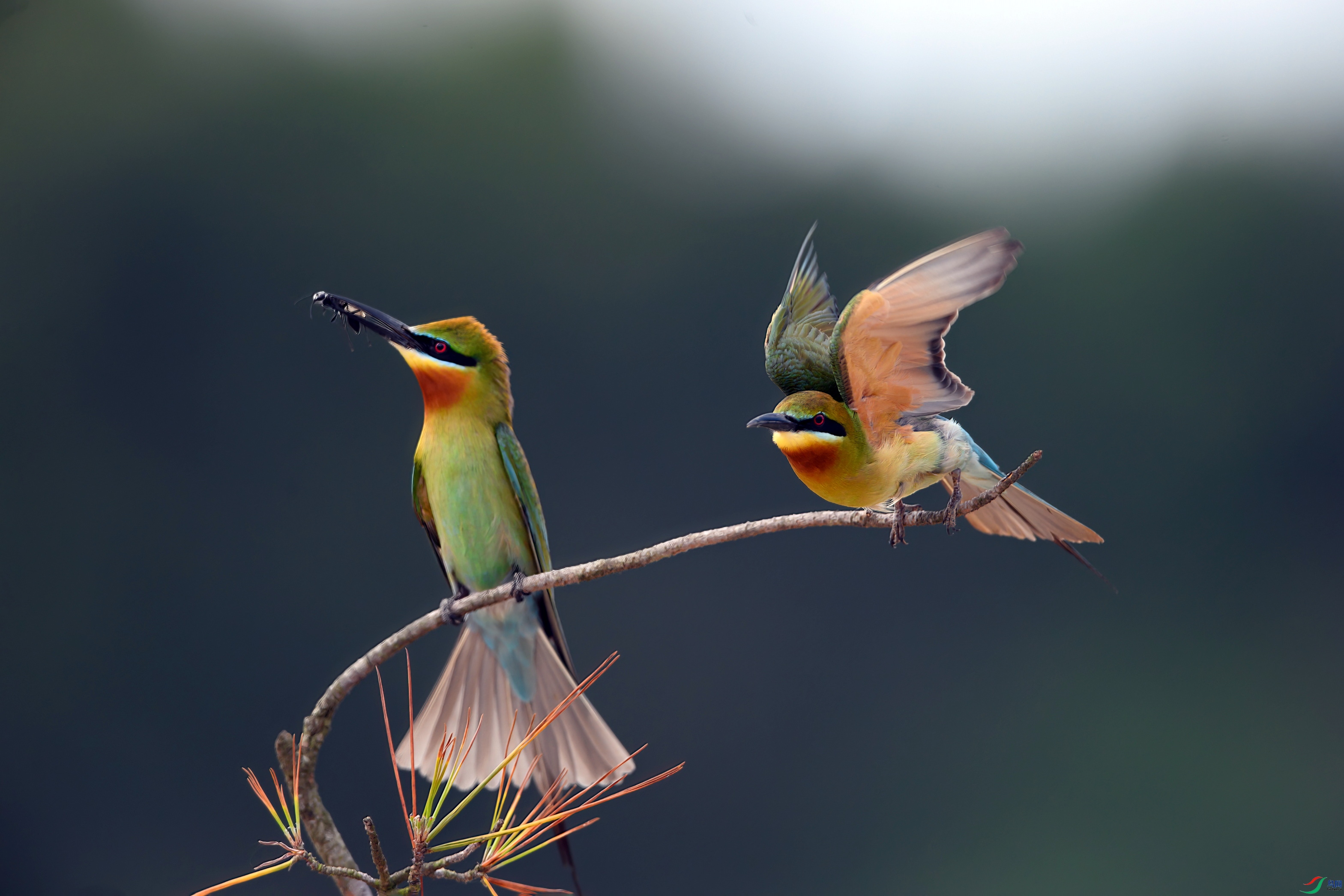 _DSC8435 ����F01.jpg