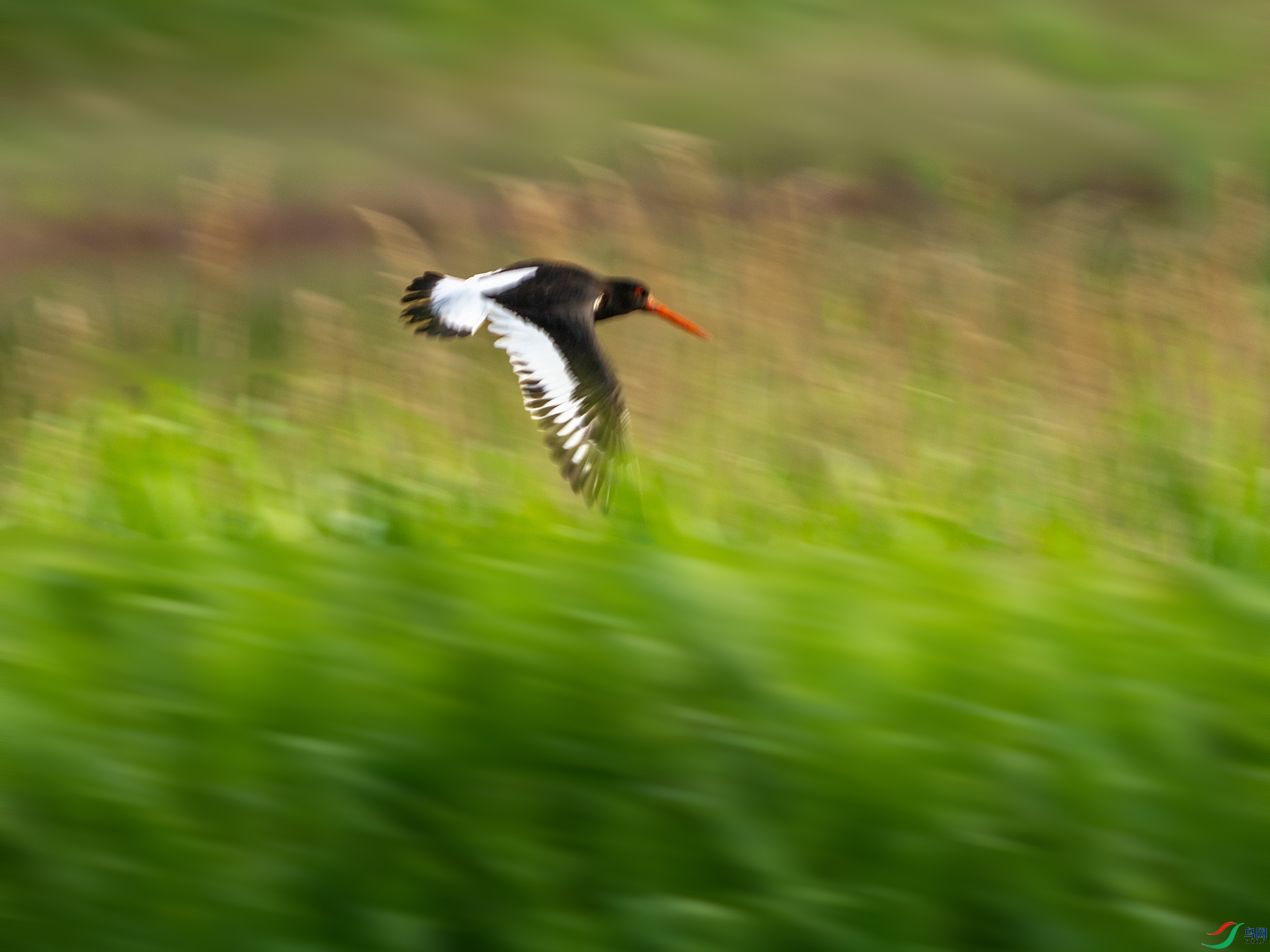 _DSC2199 ����.jpg