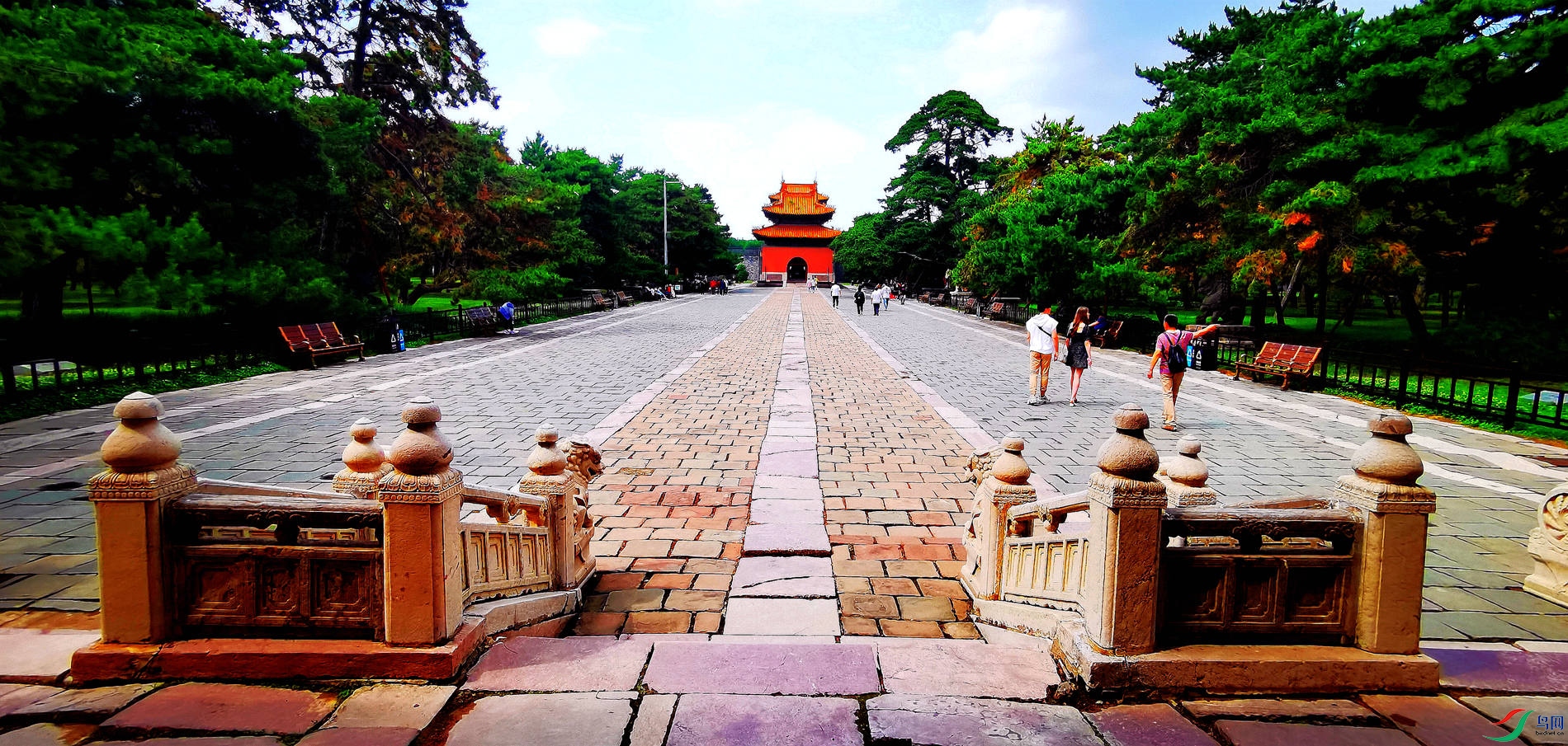 ��������--��������