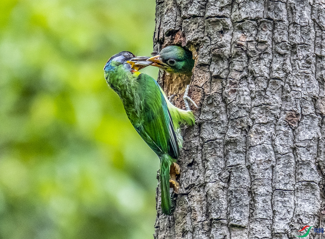 DSC_4144.jpg