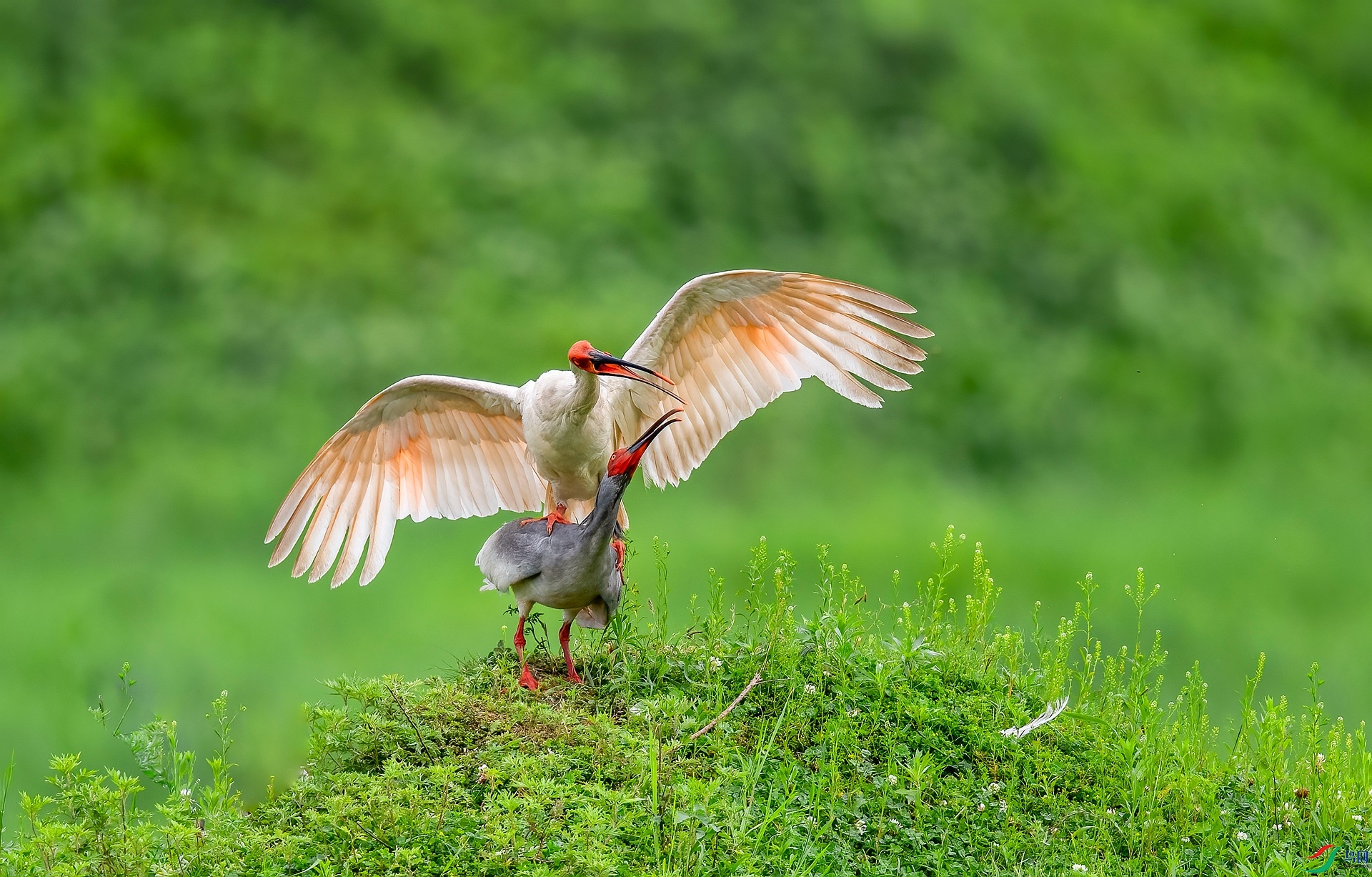 DSC_7787 ����_����.jpg