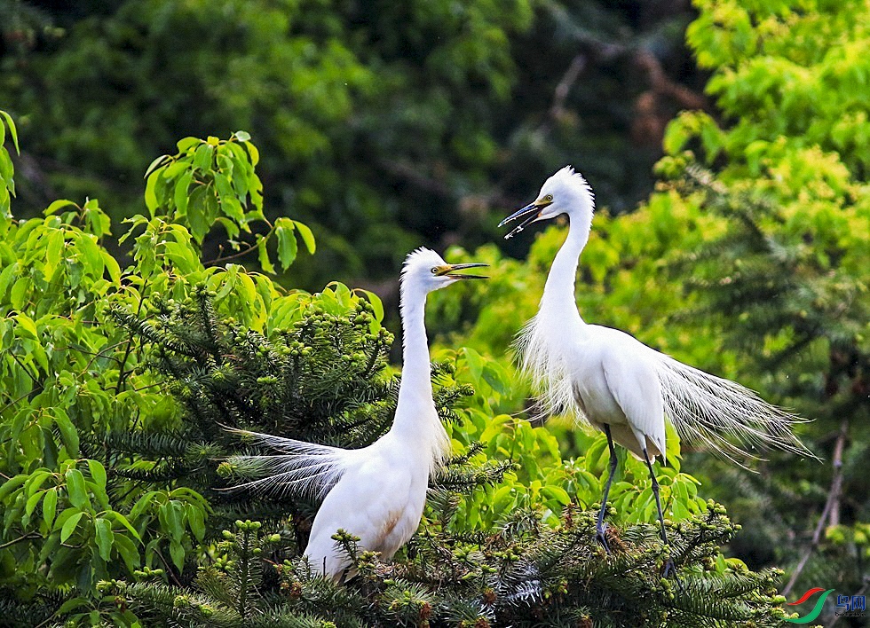 ��Ƭ 4(21).jpgA.jpg