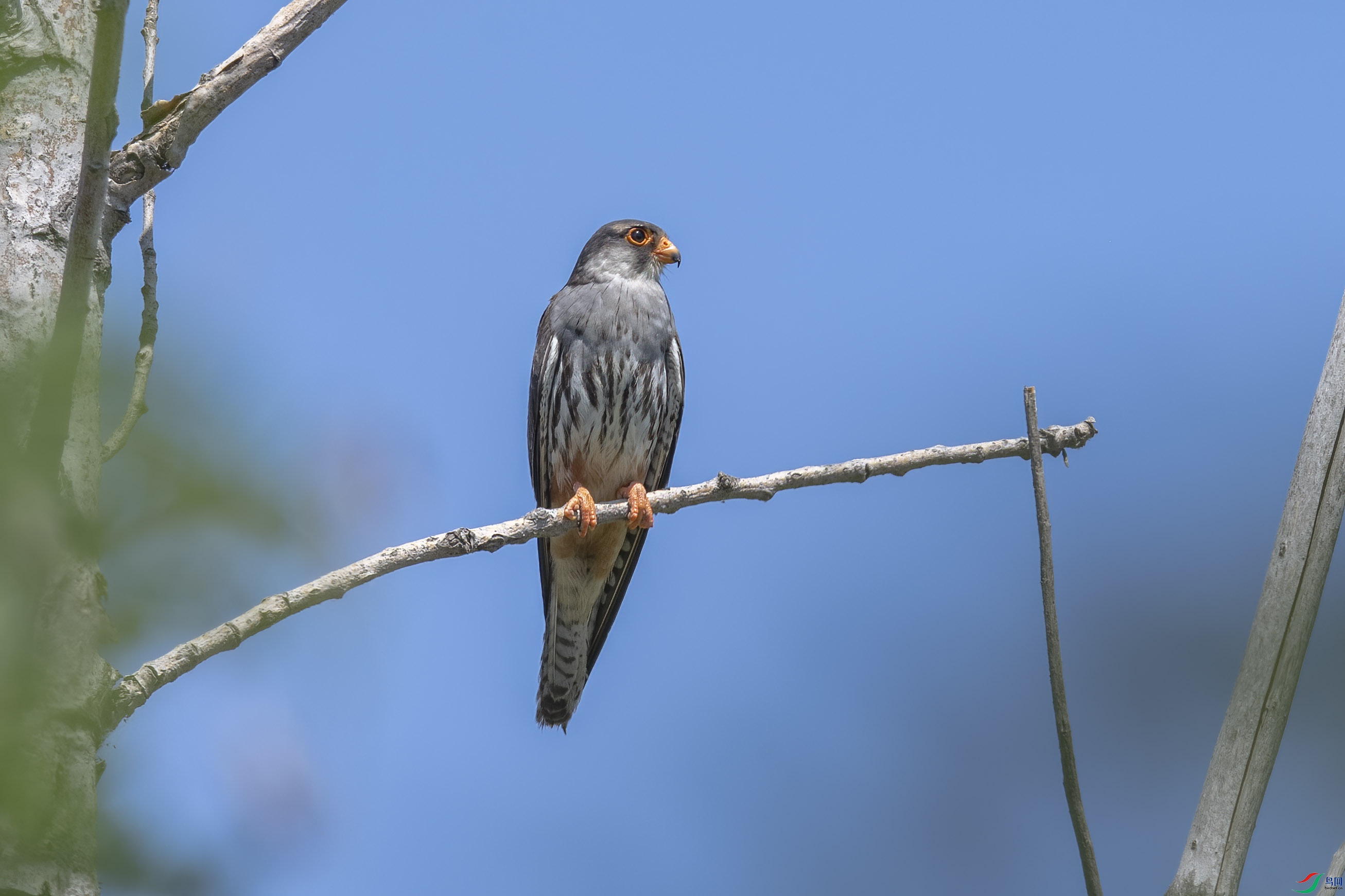 DSC_3768 ����.jpg