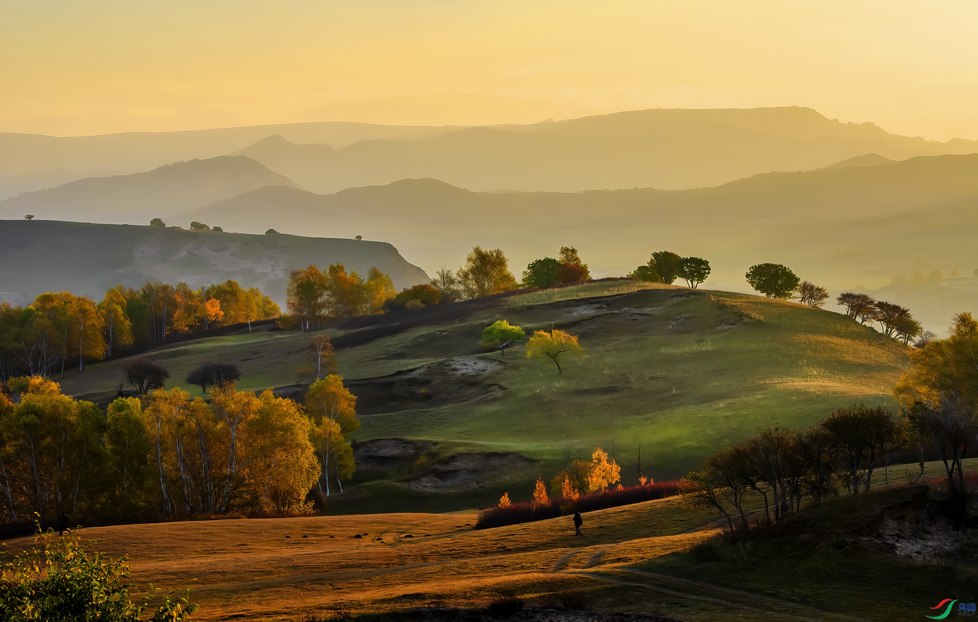 _DSC4879-NEF - ����֮��.jpg