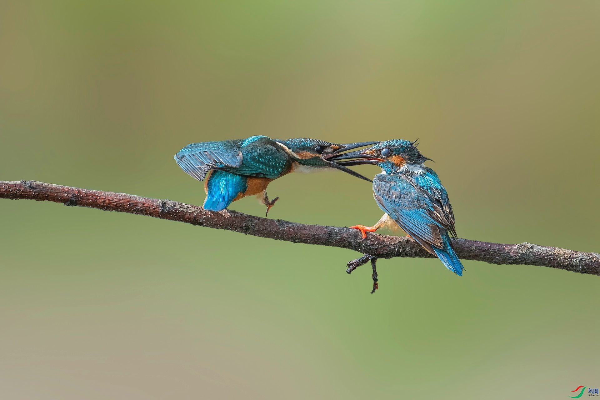 DSC_6102.jpg