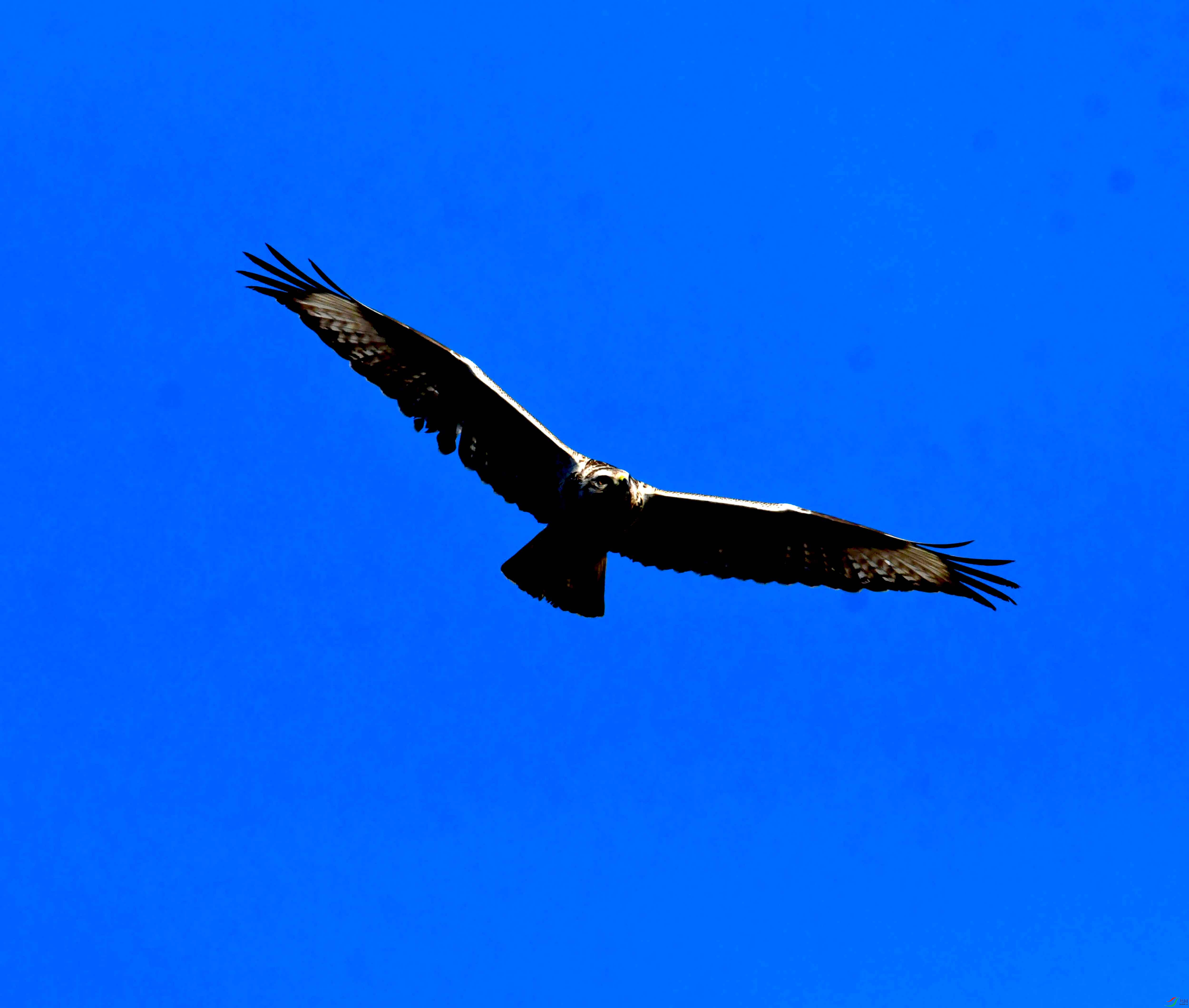 DSC_2566.JPG