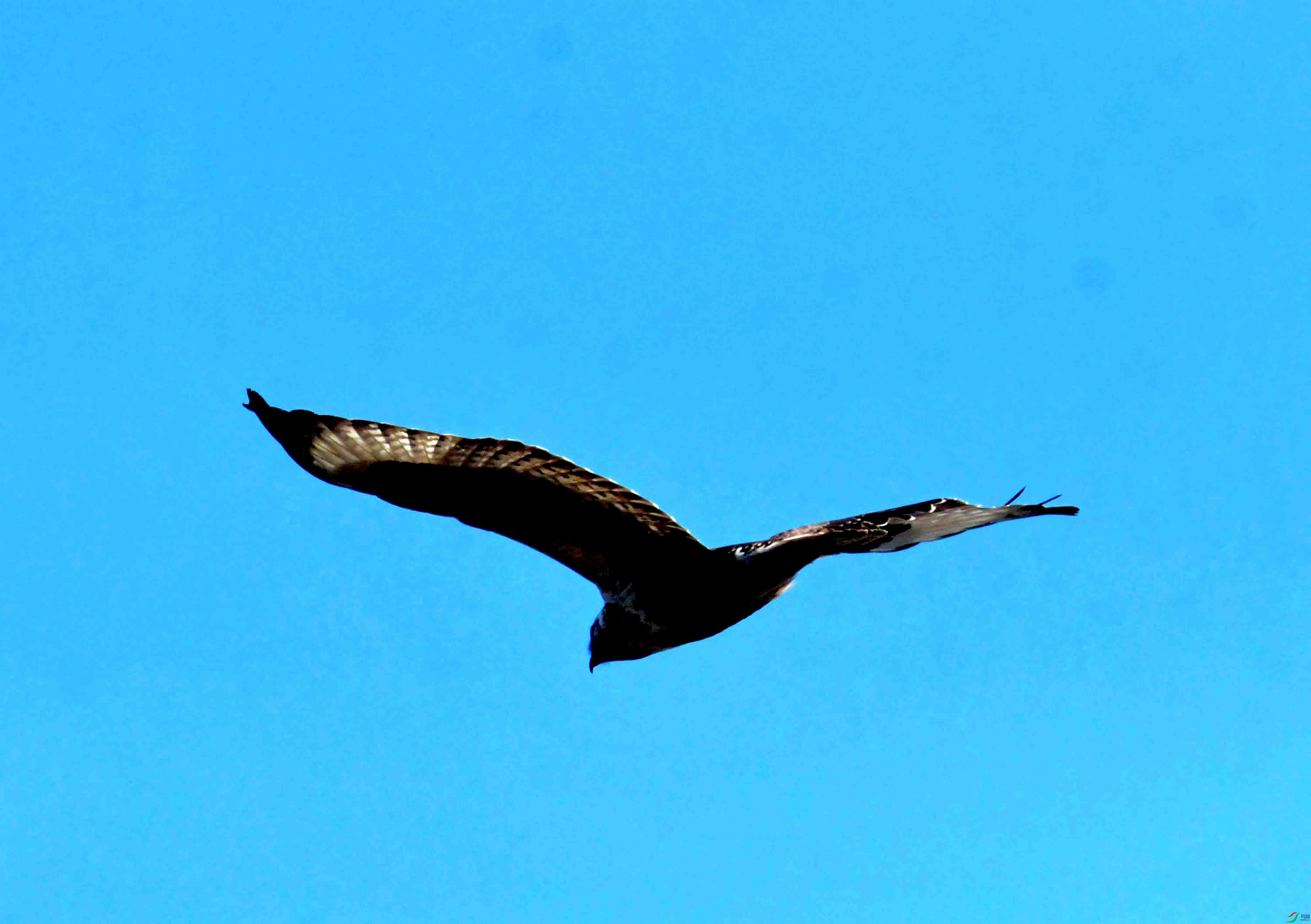 DSC_2559.JPG