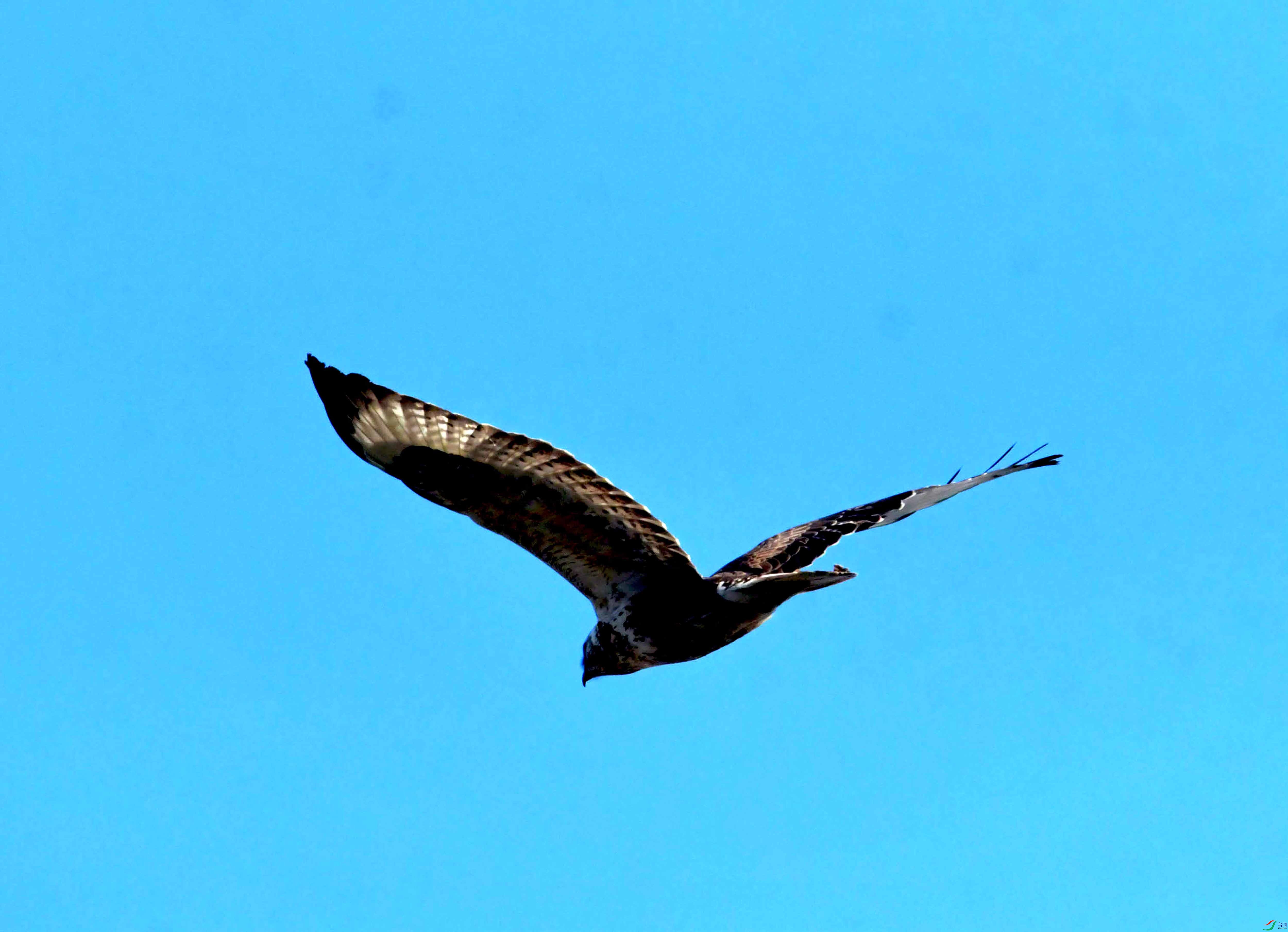 DSC_2558.JPG