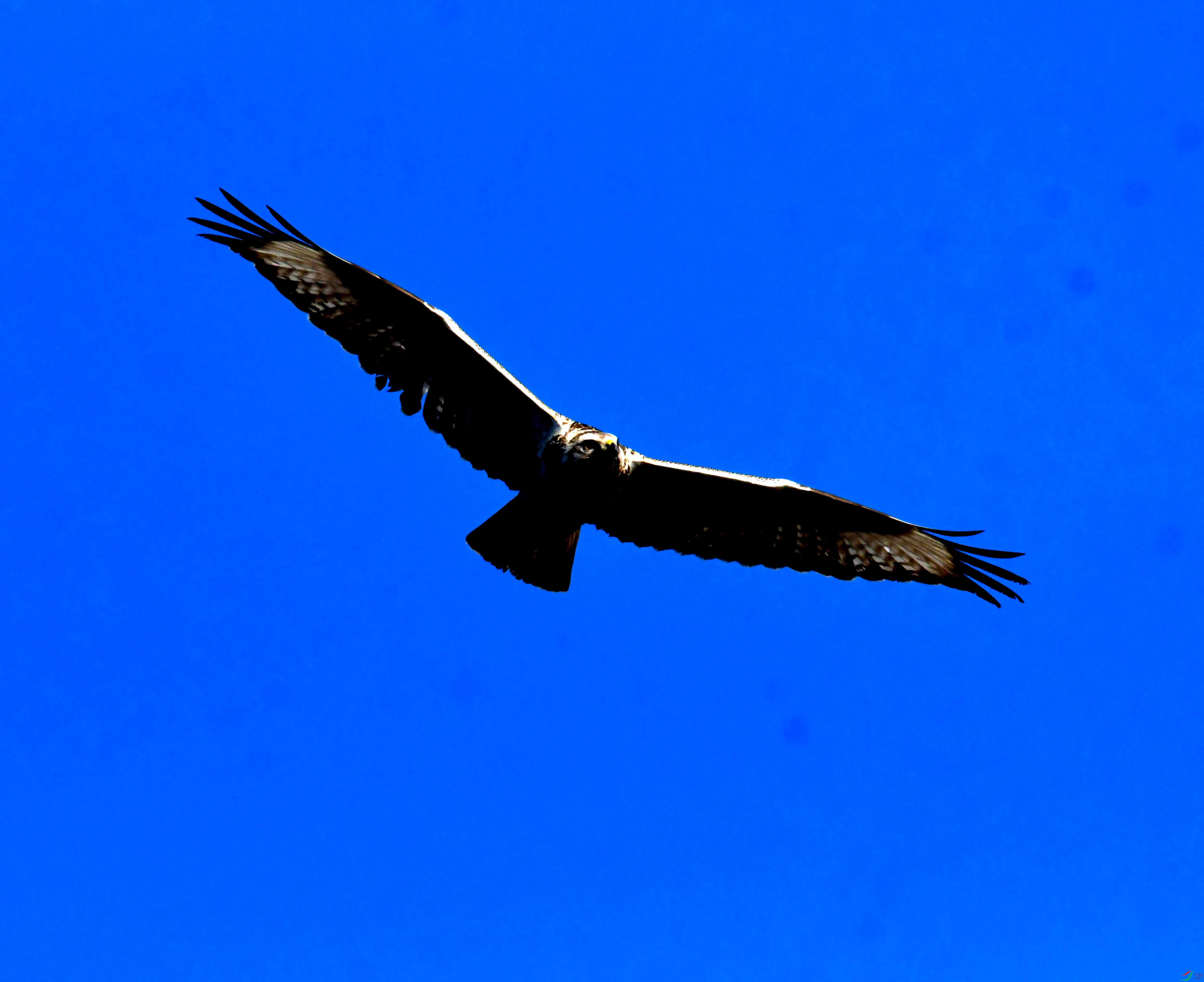 DSC_2567.JPG