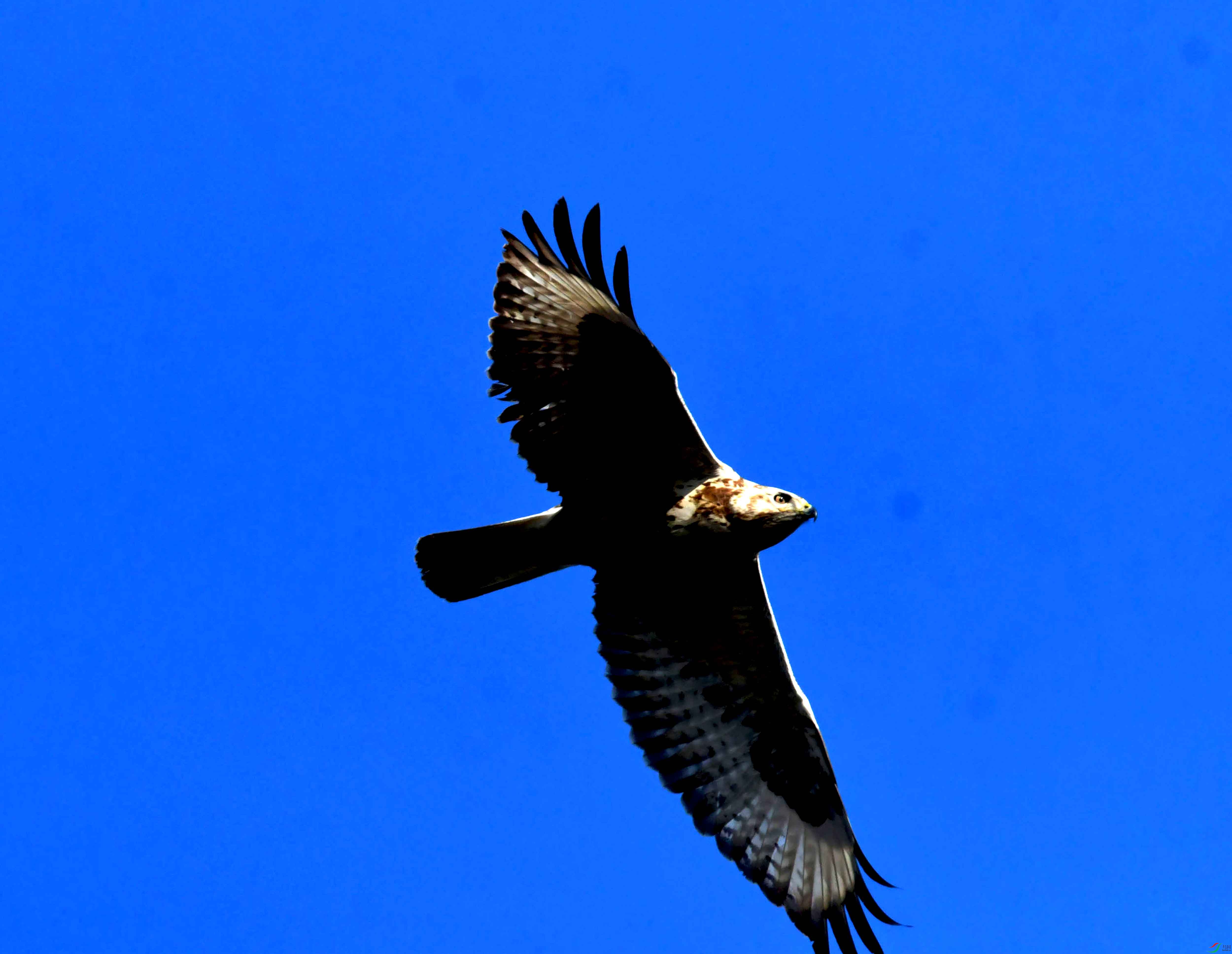 DSC_2570.JPG