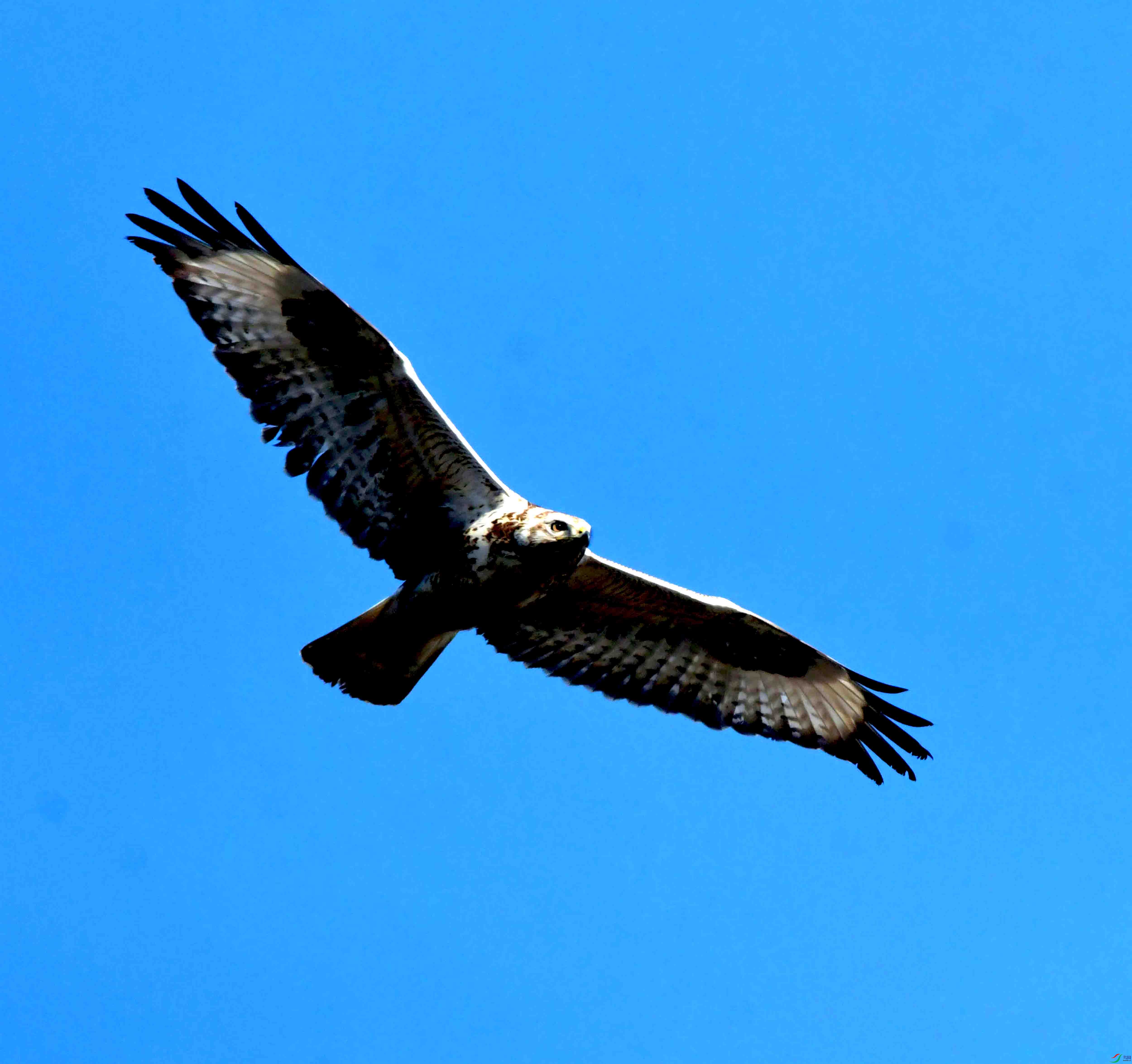 DSC_2569.JPG
