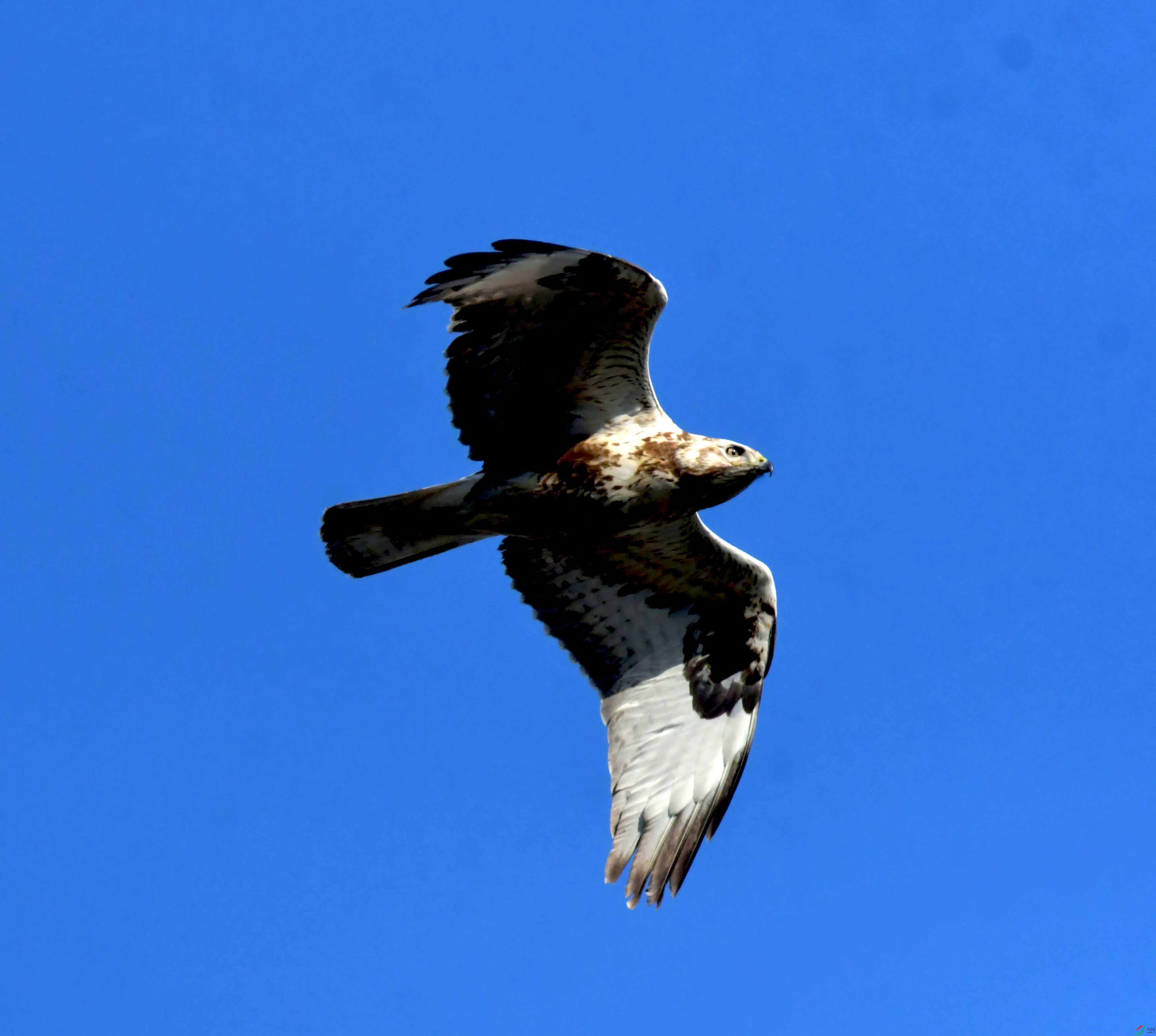 DSC_2571.JPG
