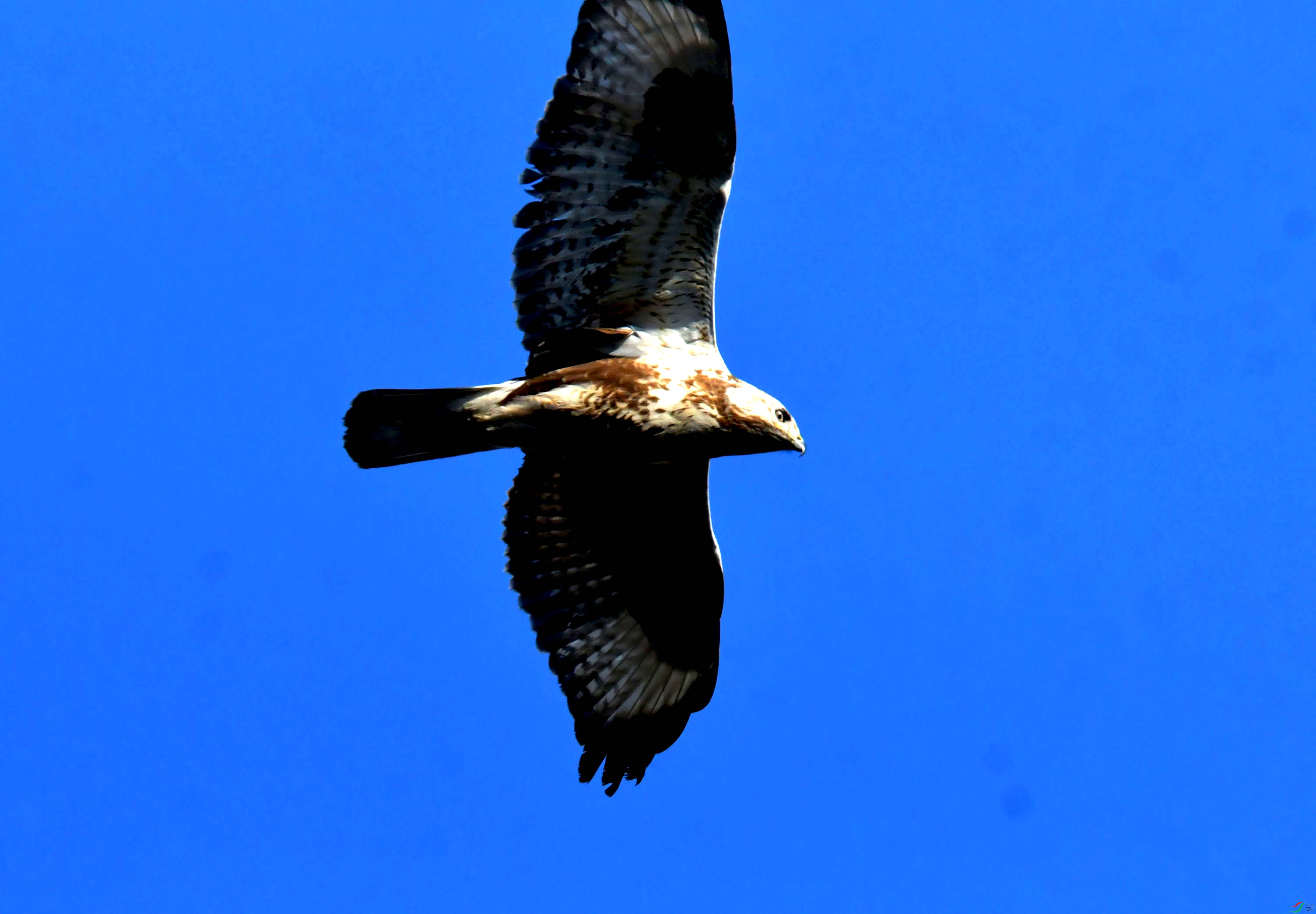 DSC_2572.JPG