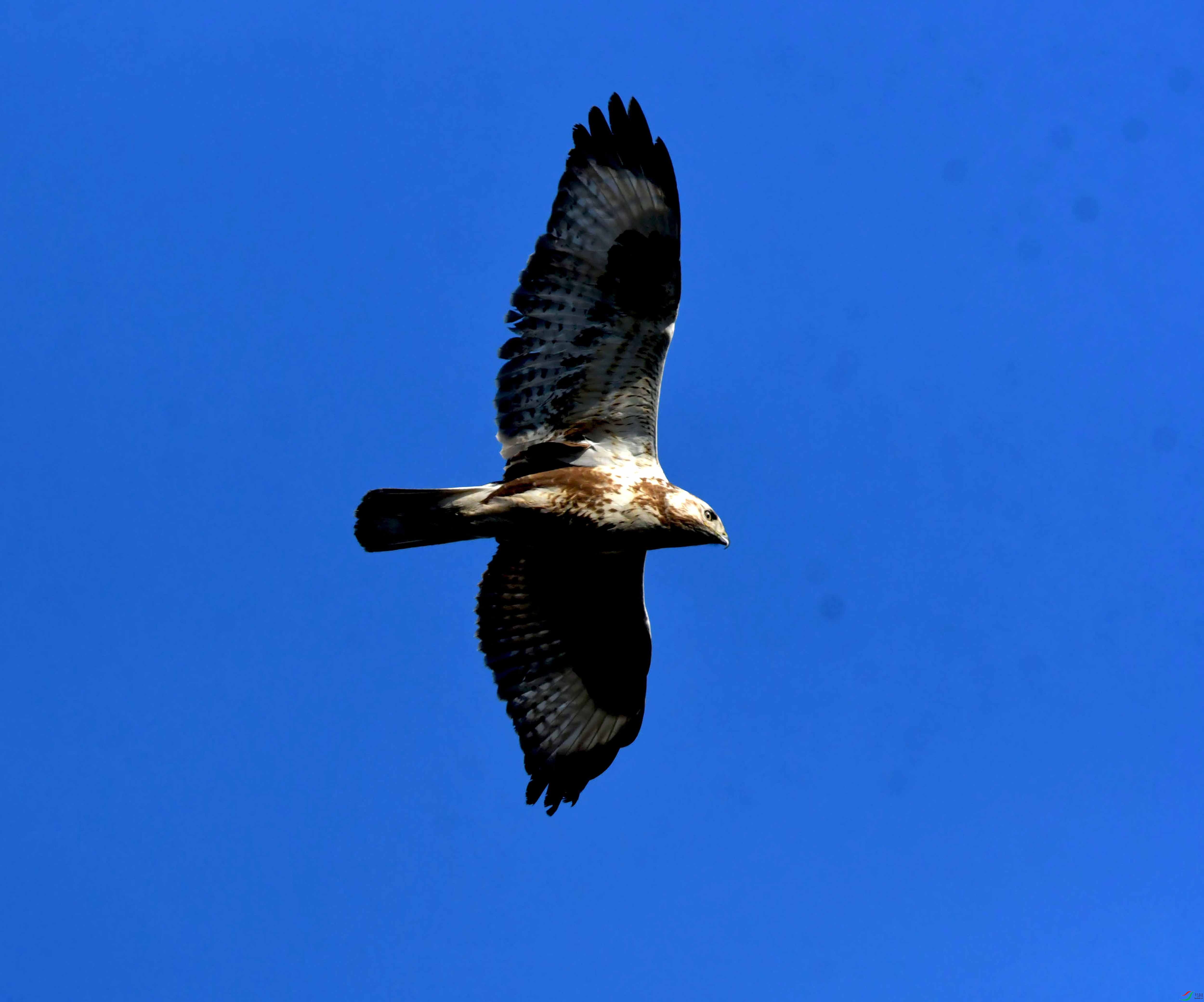 DSC_2573.JPG