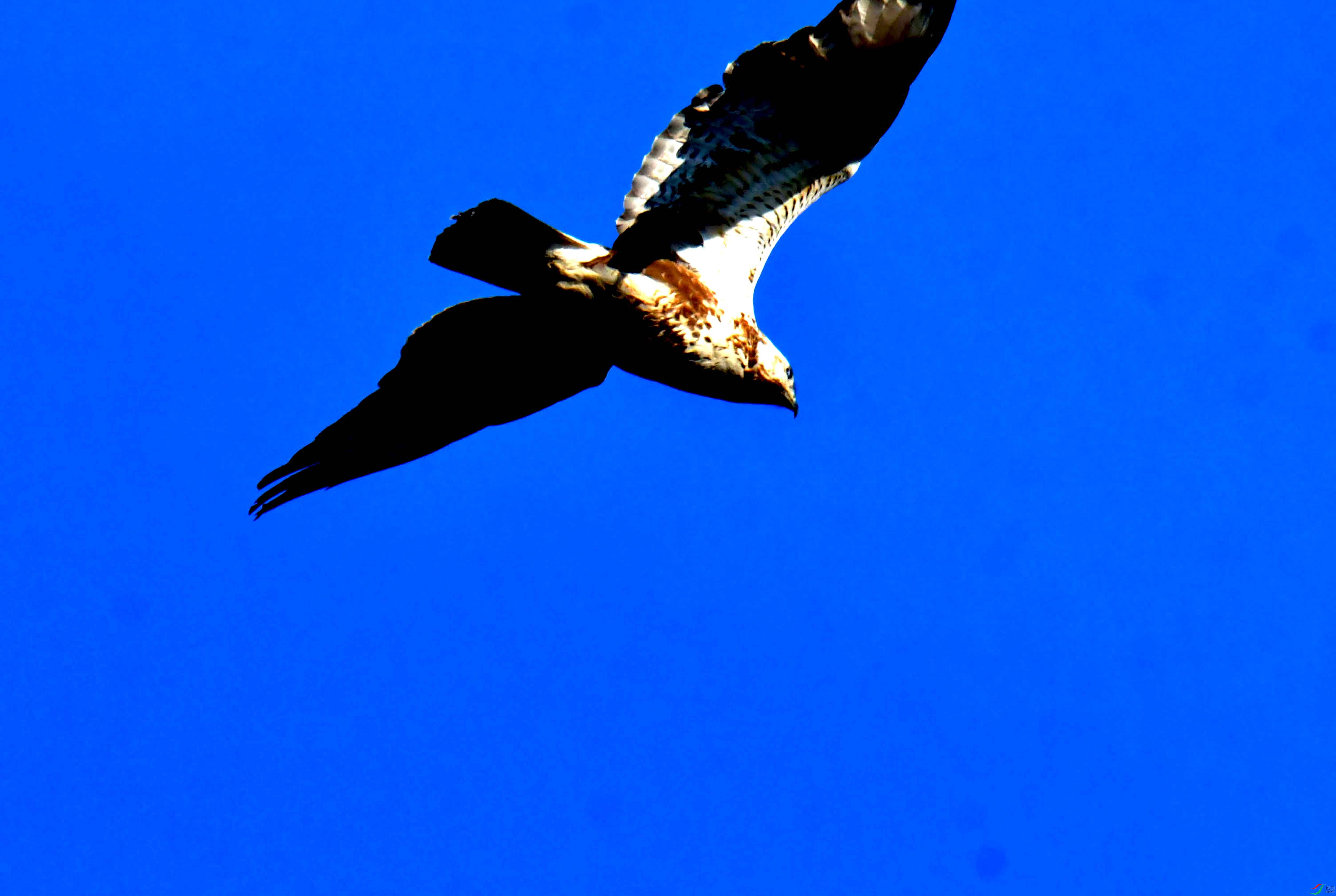DSC_2574.JPG