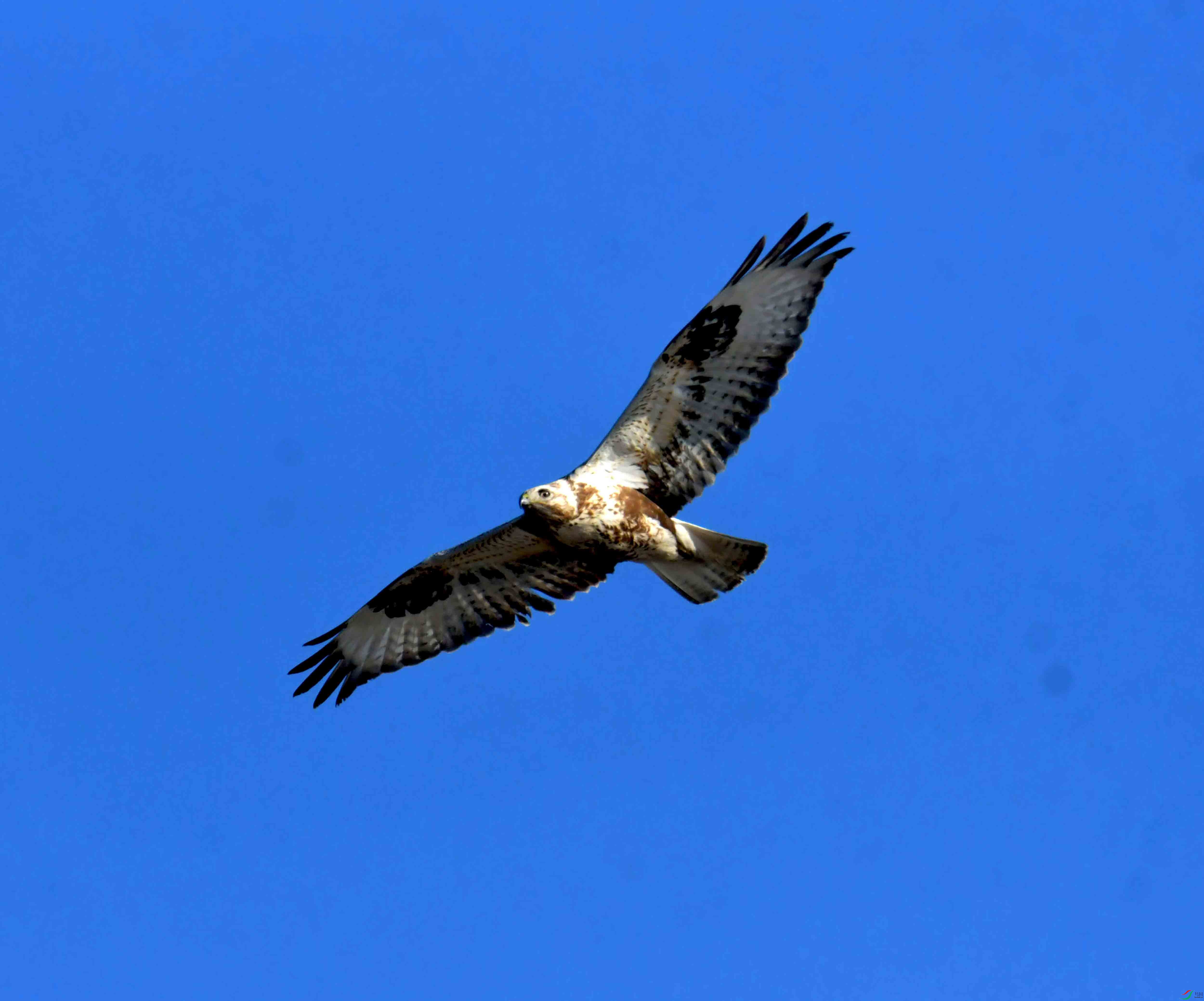 DSC_2577.JPG