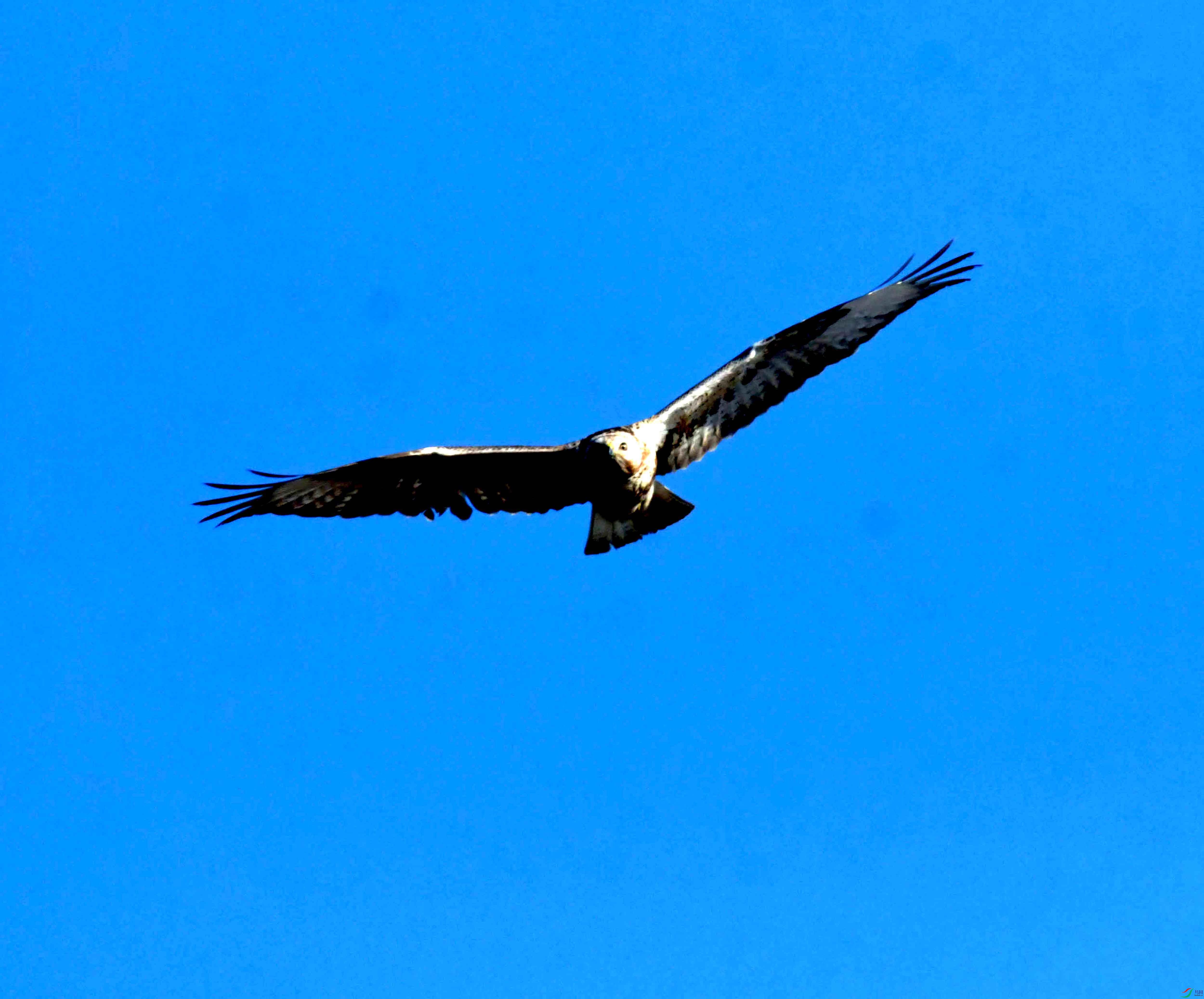 DSC_2575.JPG