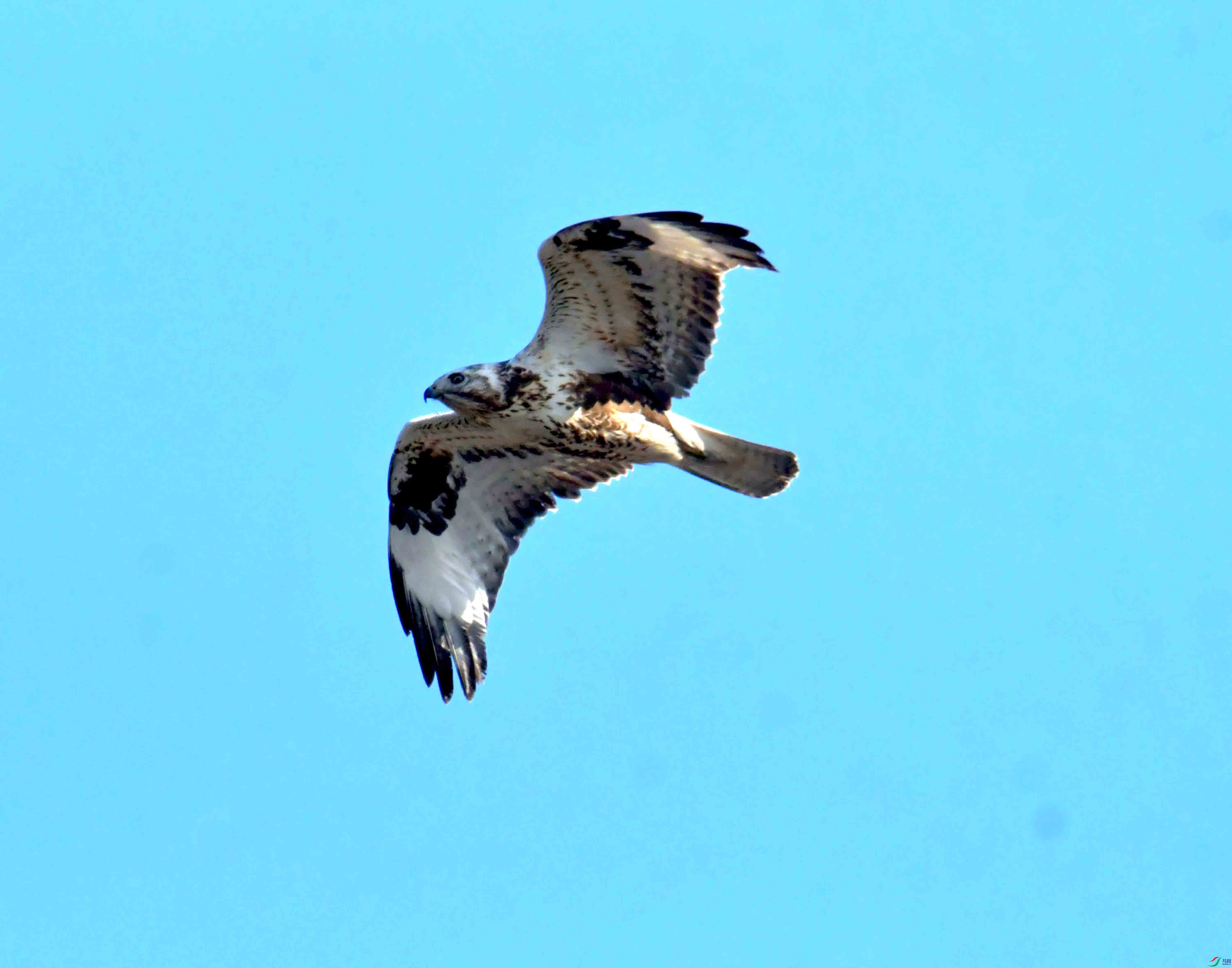 DSC_2596.JPG