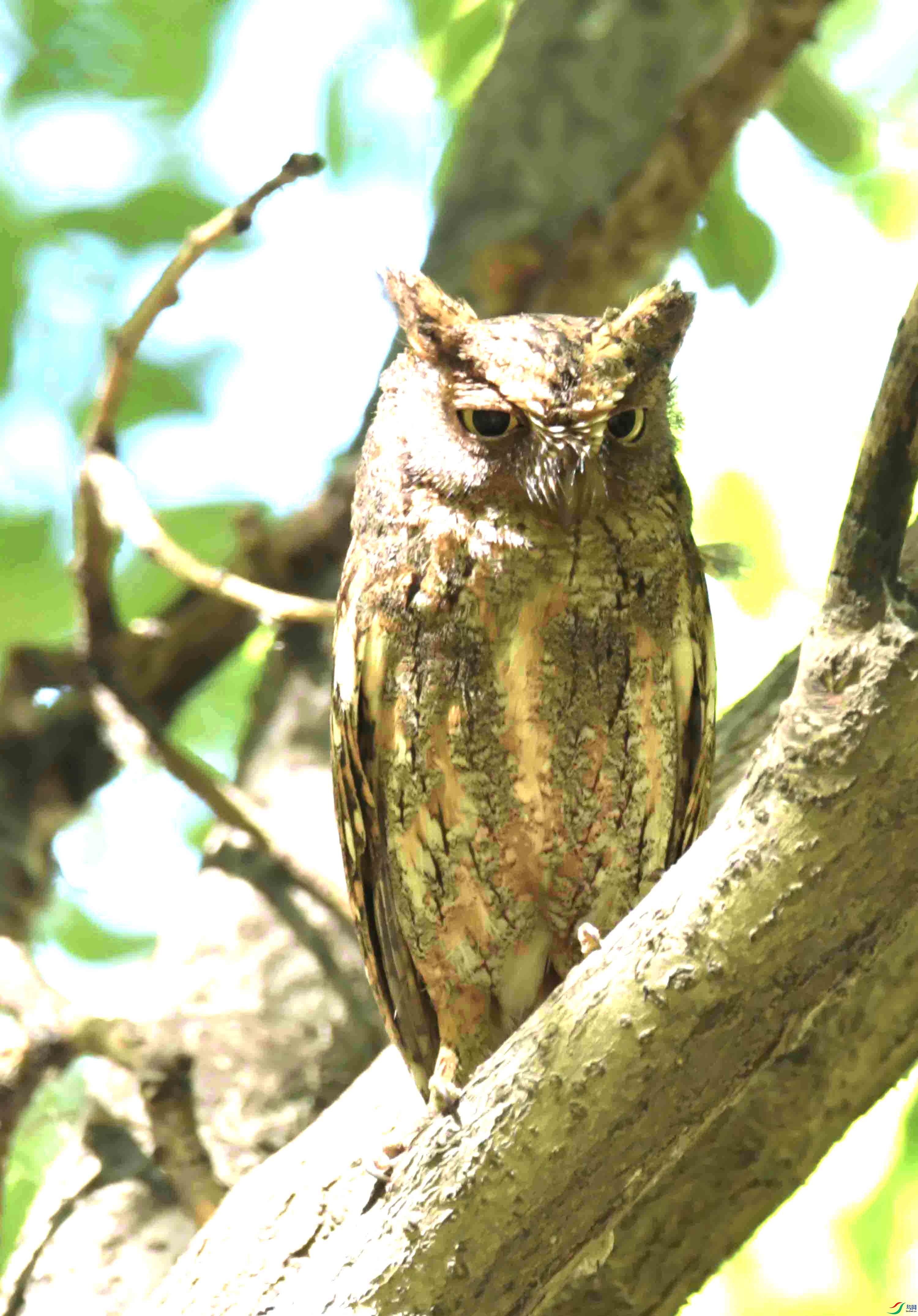 DSC_8095.JPG