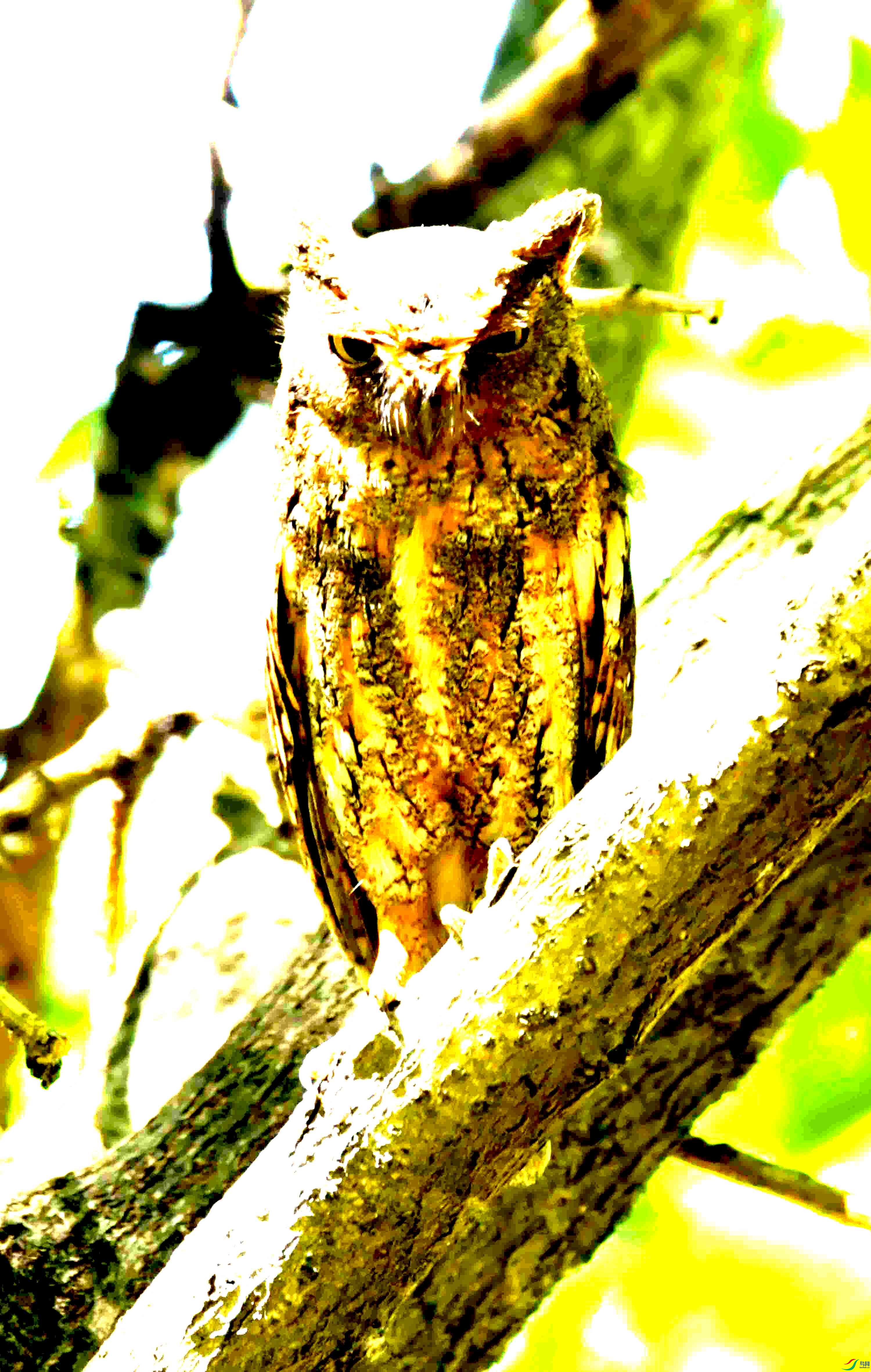DSC_8194.JPG