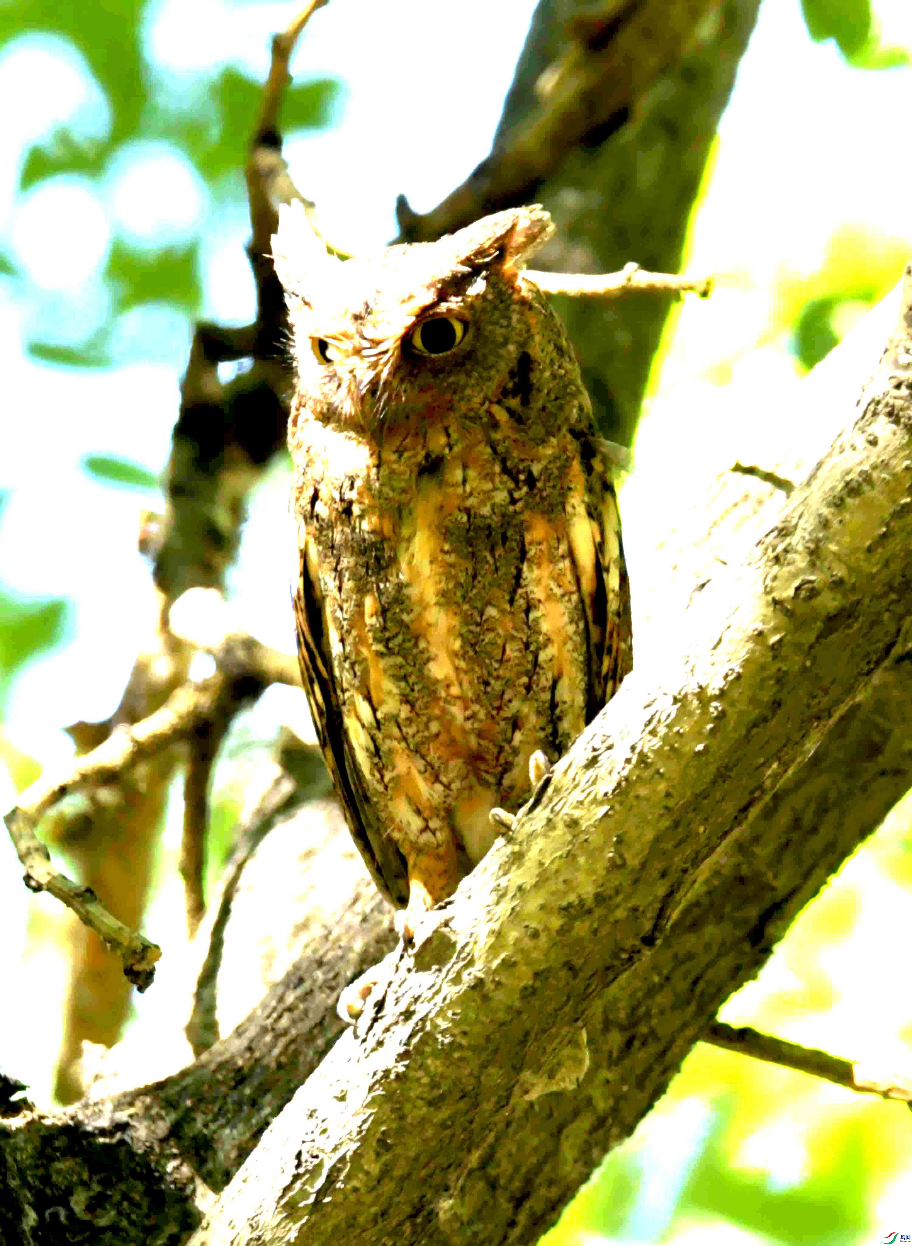 DSC_8108.JPG
