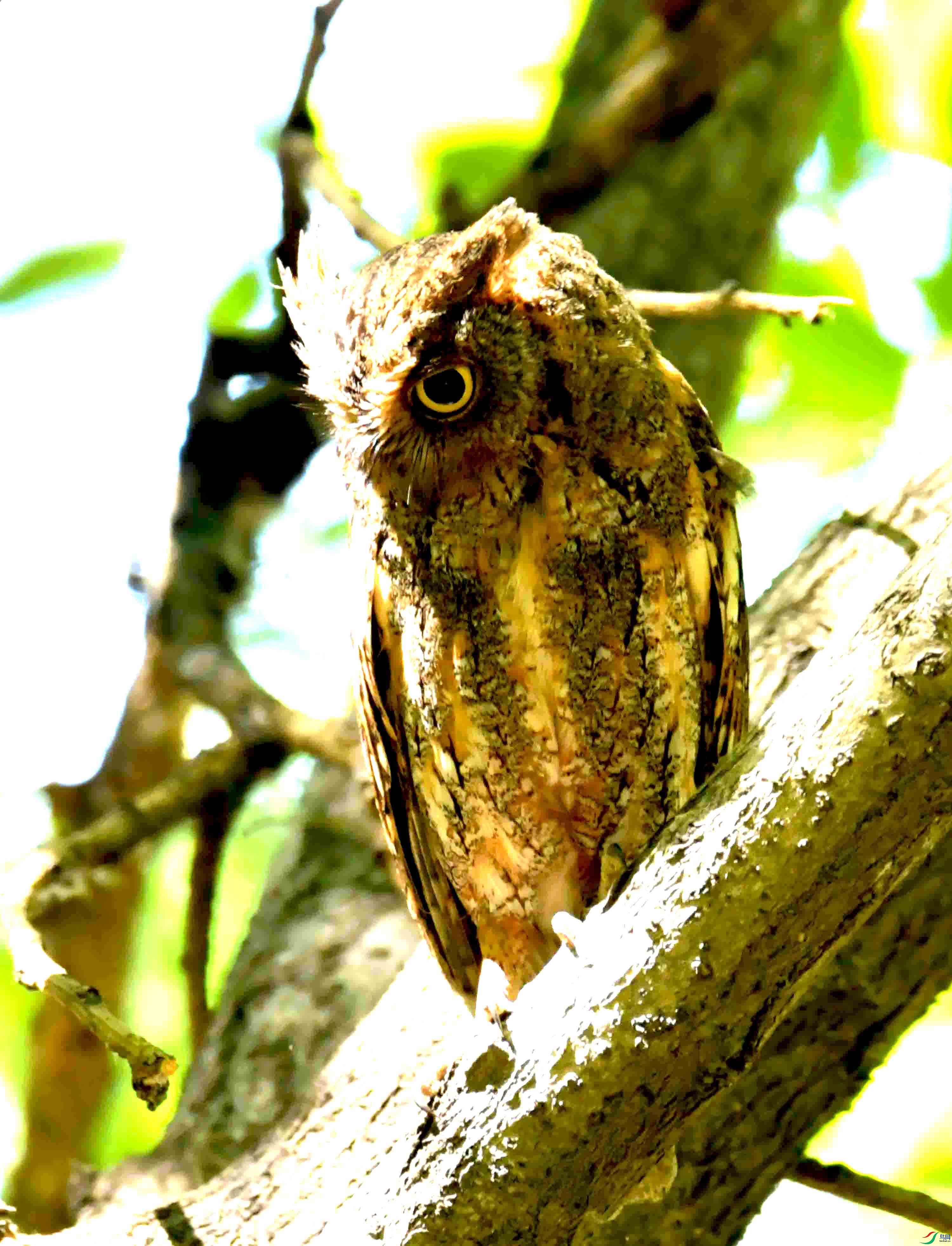 DSC_8203.JPG