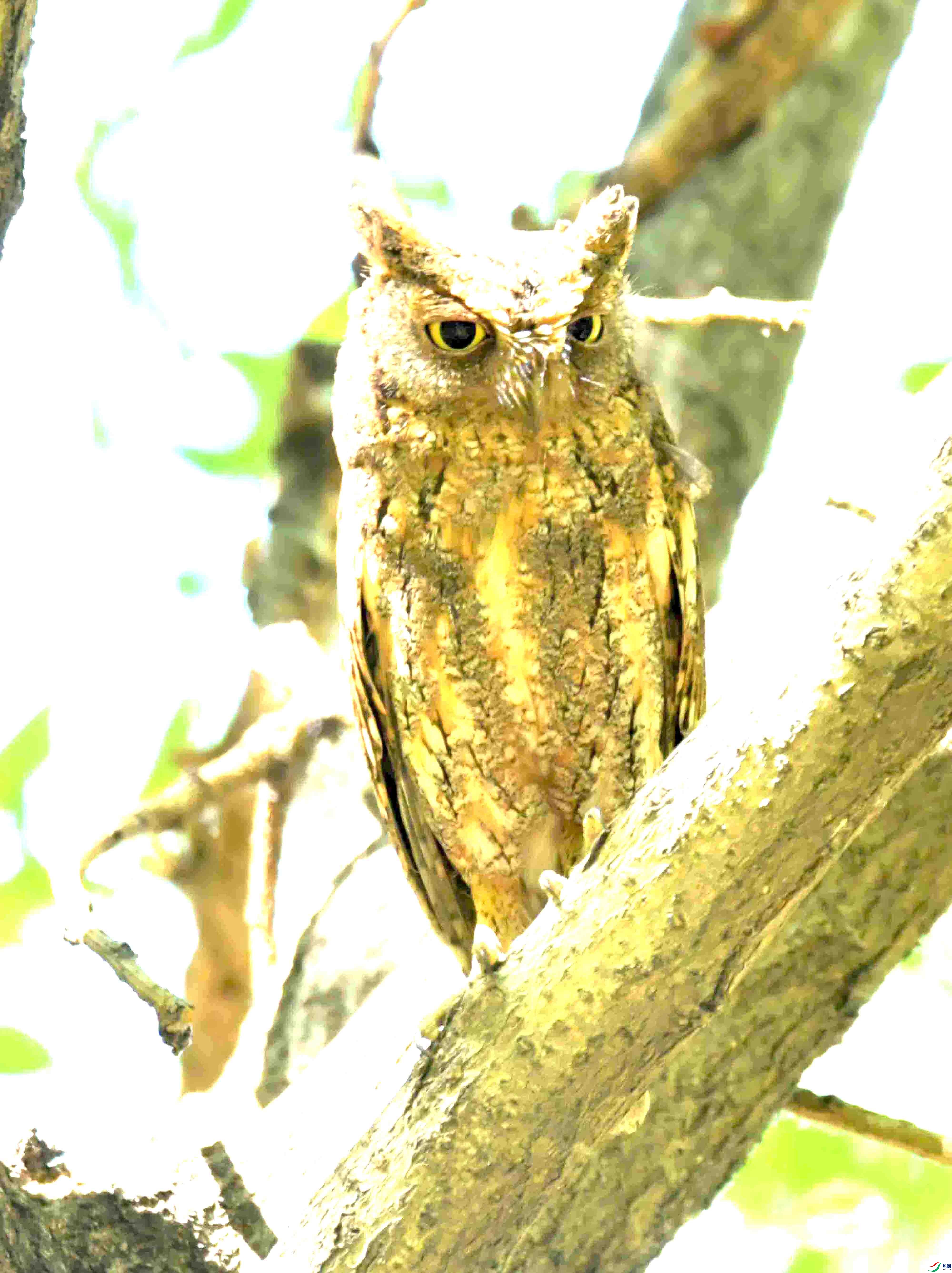 DSC_8206.JPG