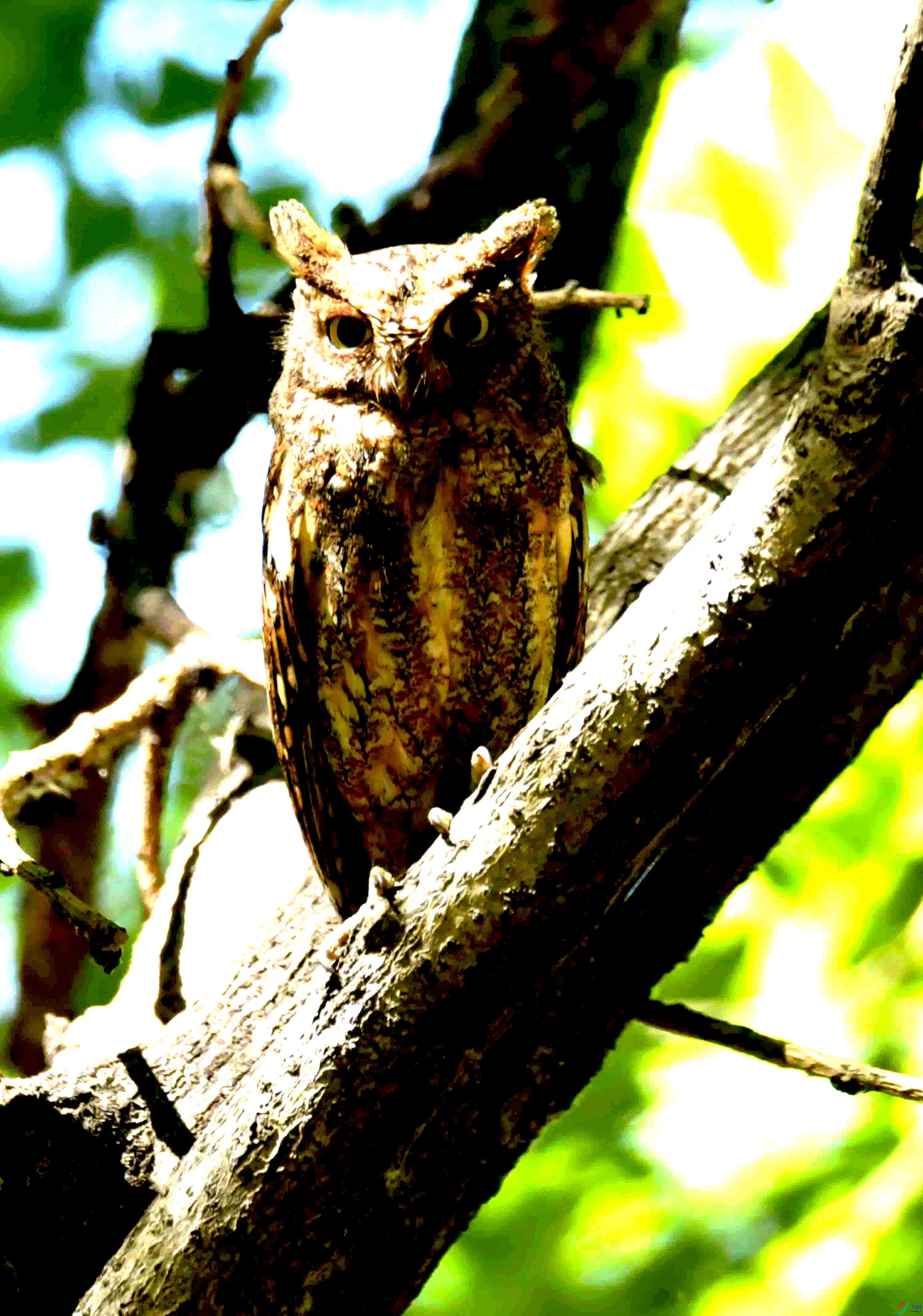 DSC_8211.JPG