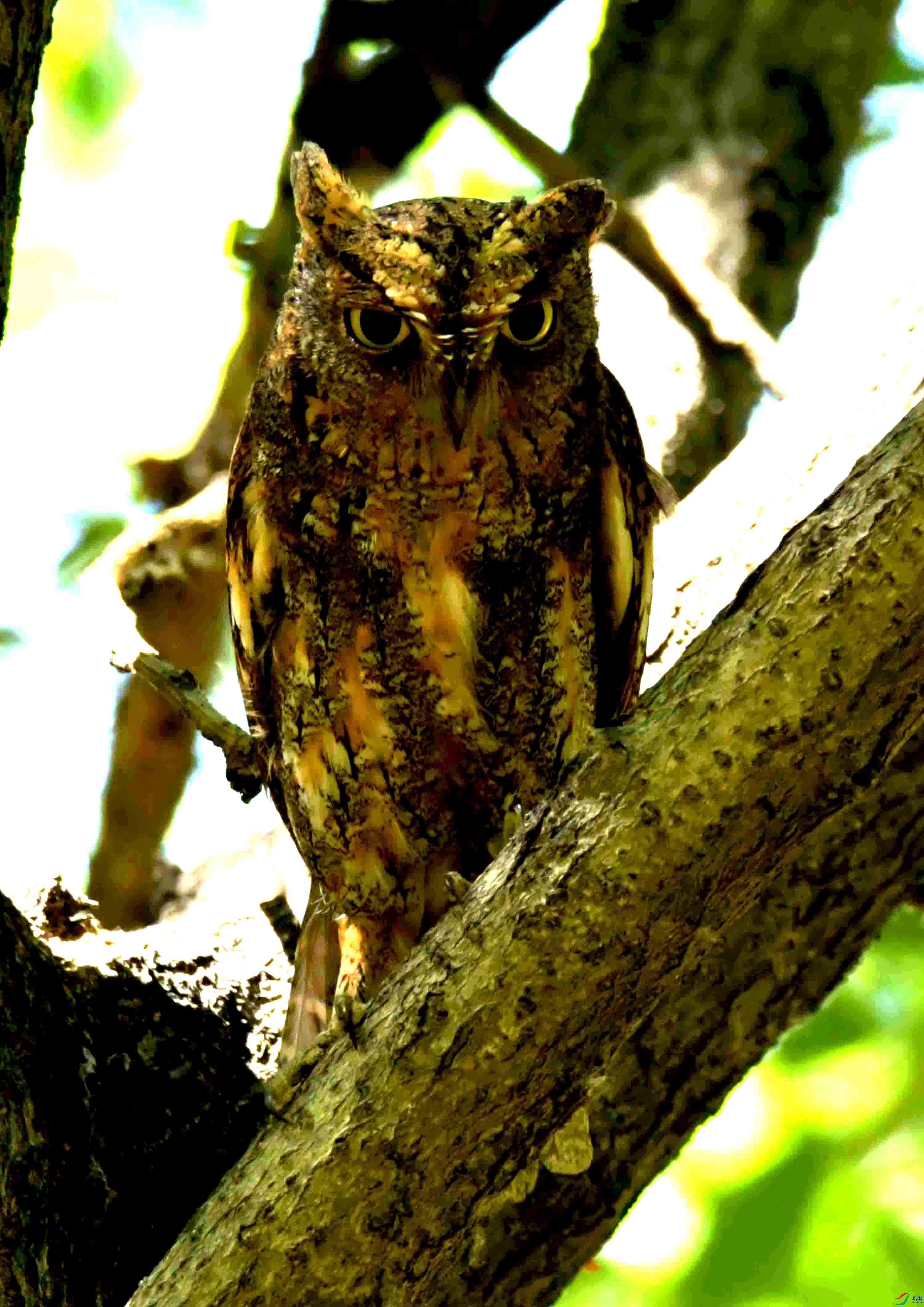 DSC_8219.JPG