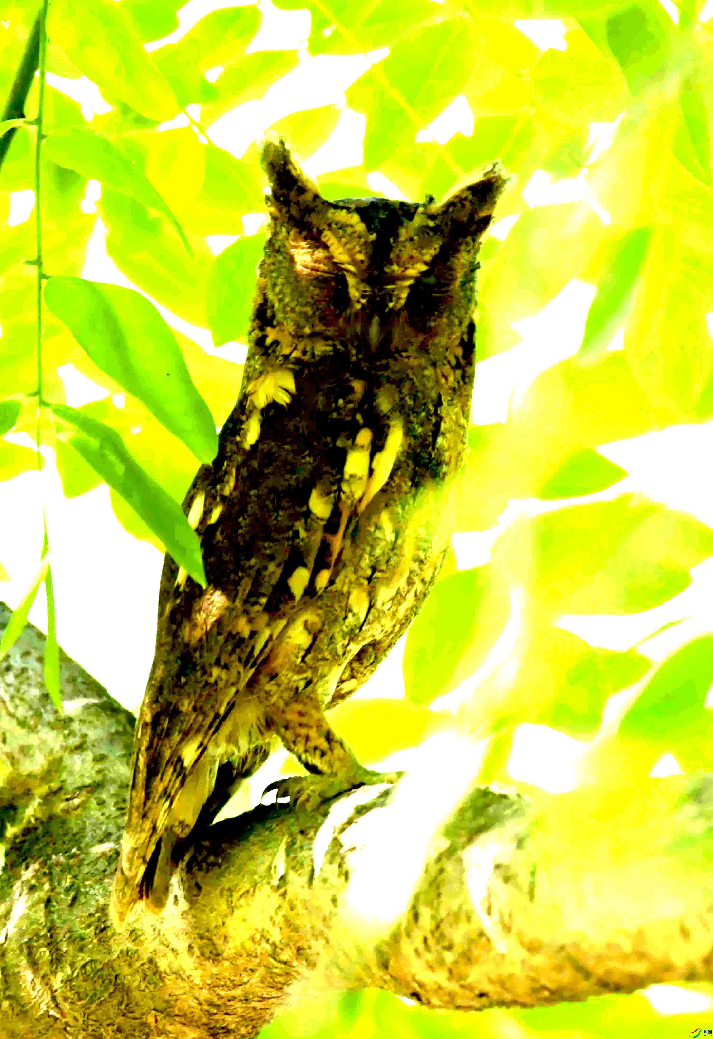 DSC_8415.JPG