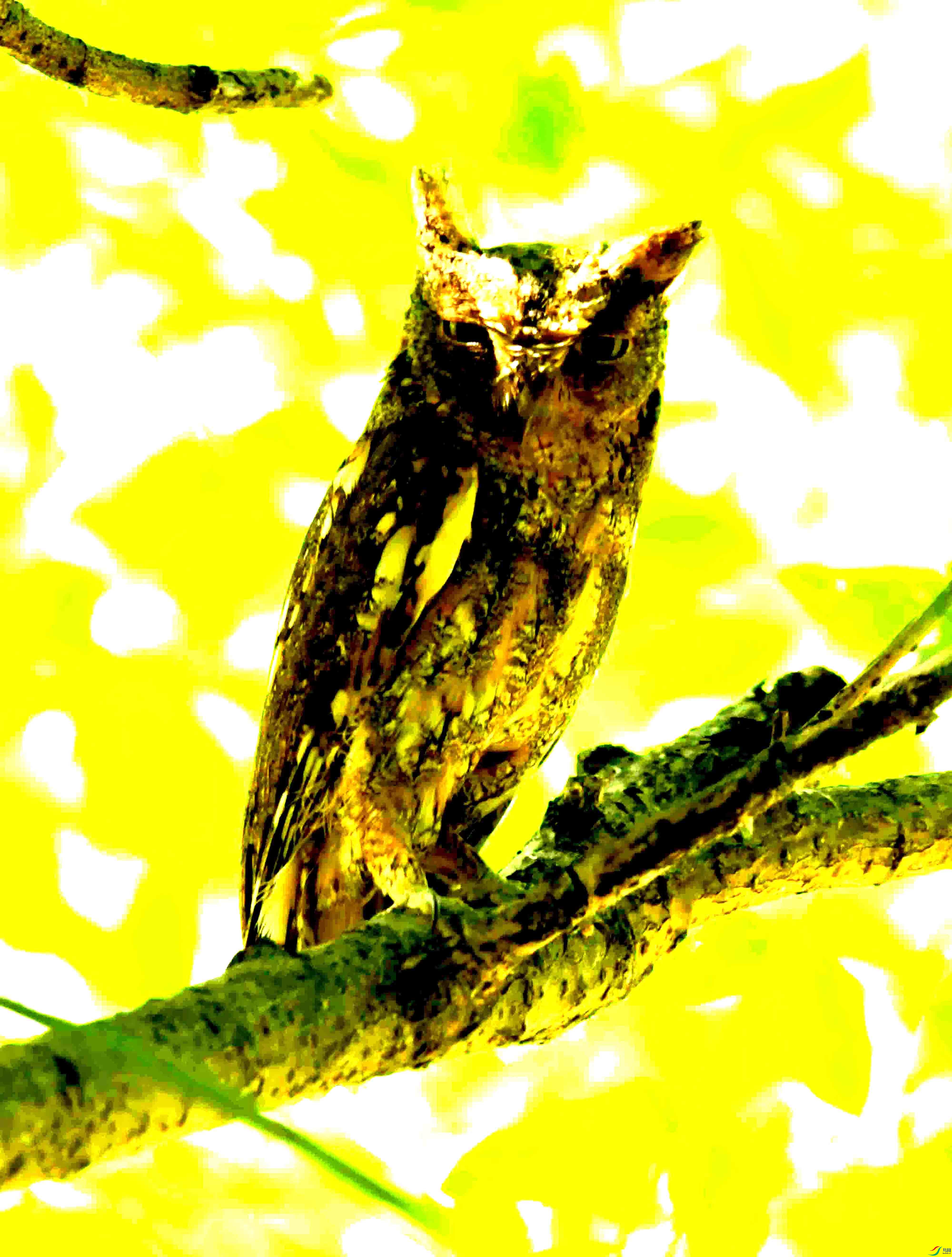 DSC_8428.JPG