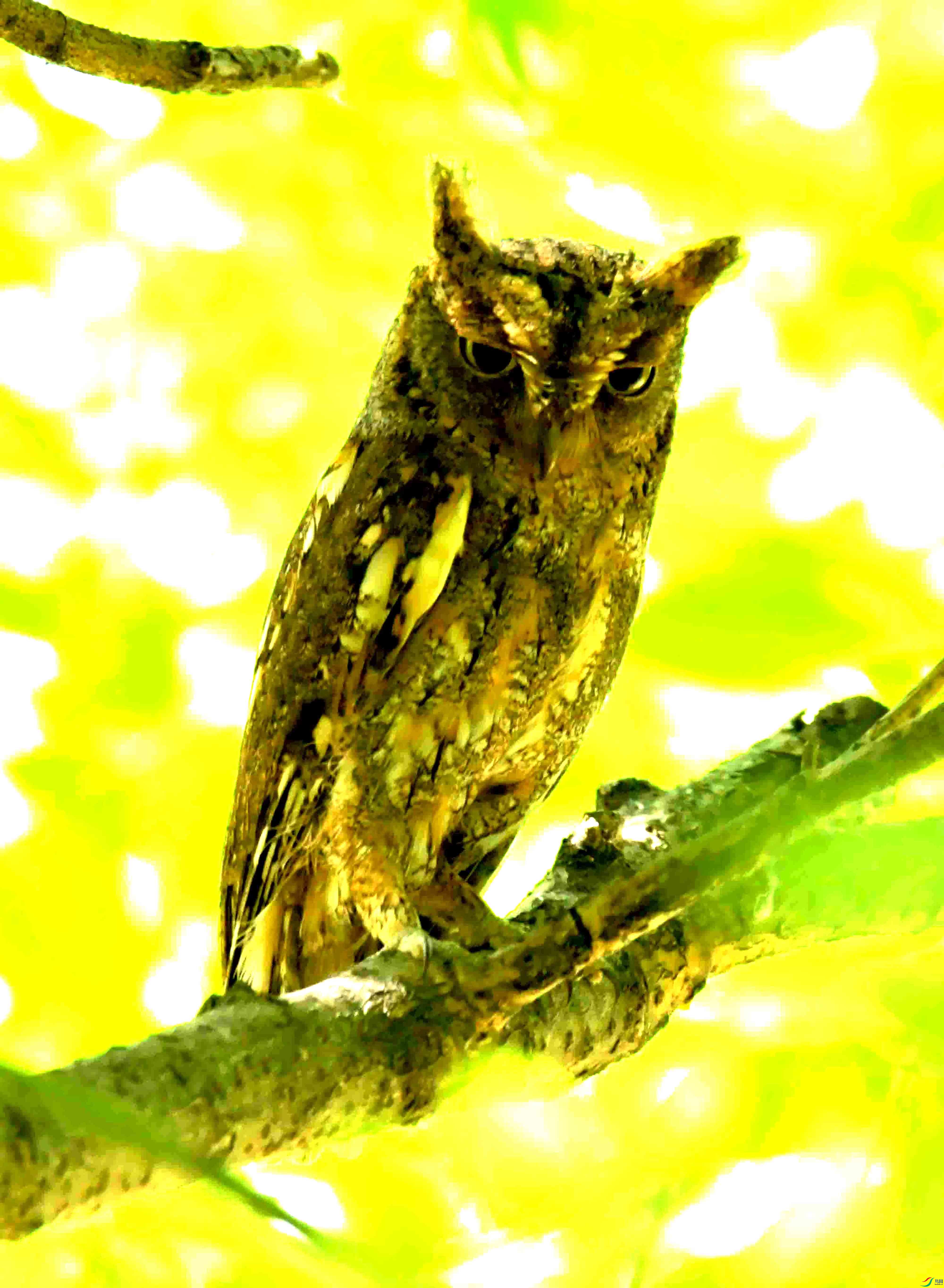 DSC_8426.JPG