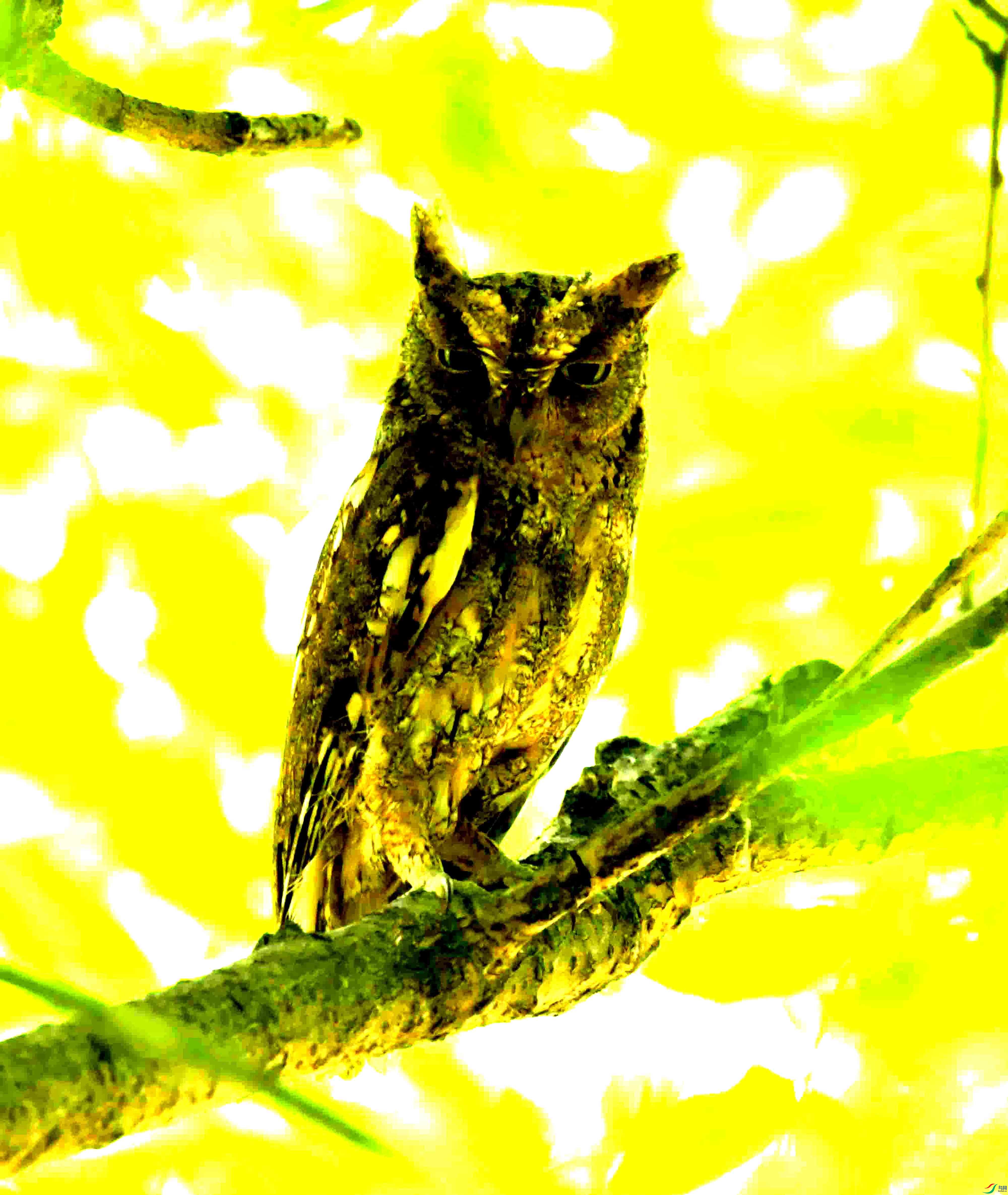 DSC_8438.JPG