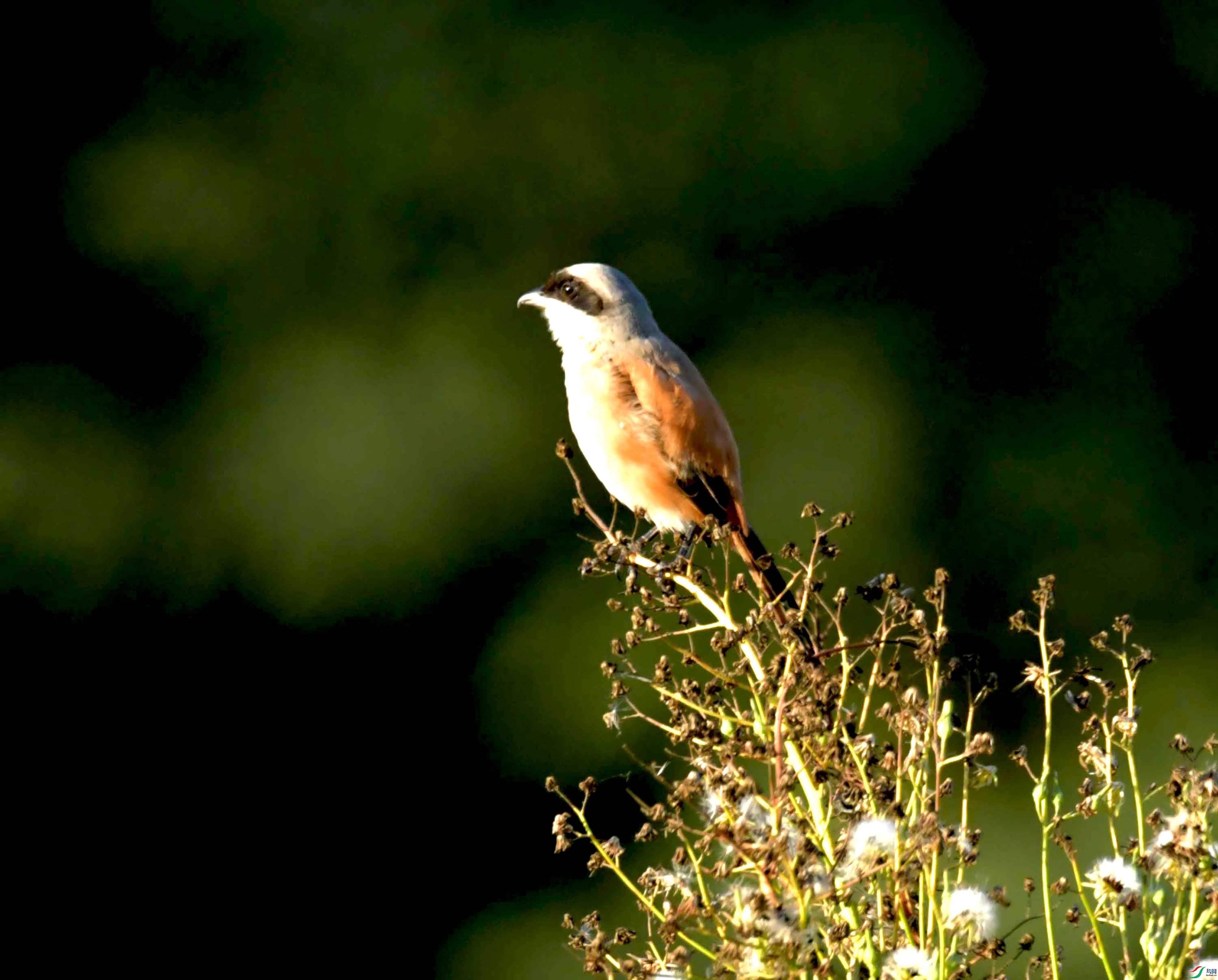 DSC_3664.JPG