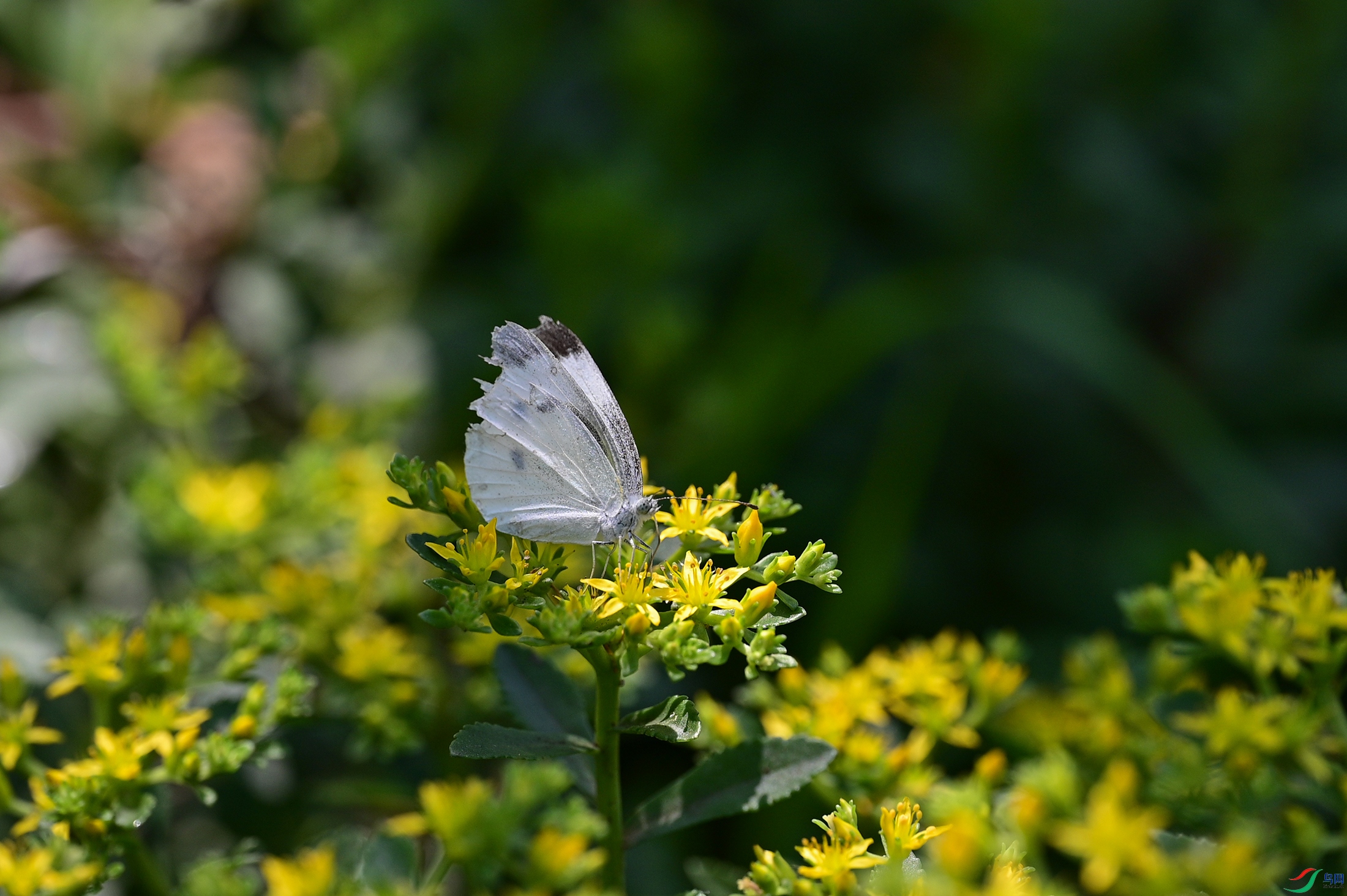 DSC_1881.jpg