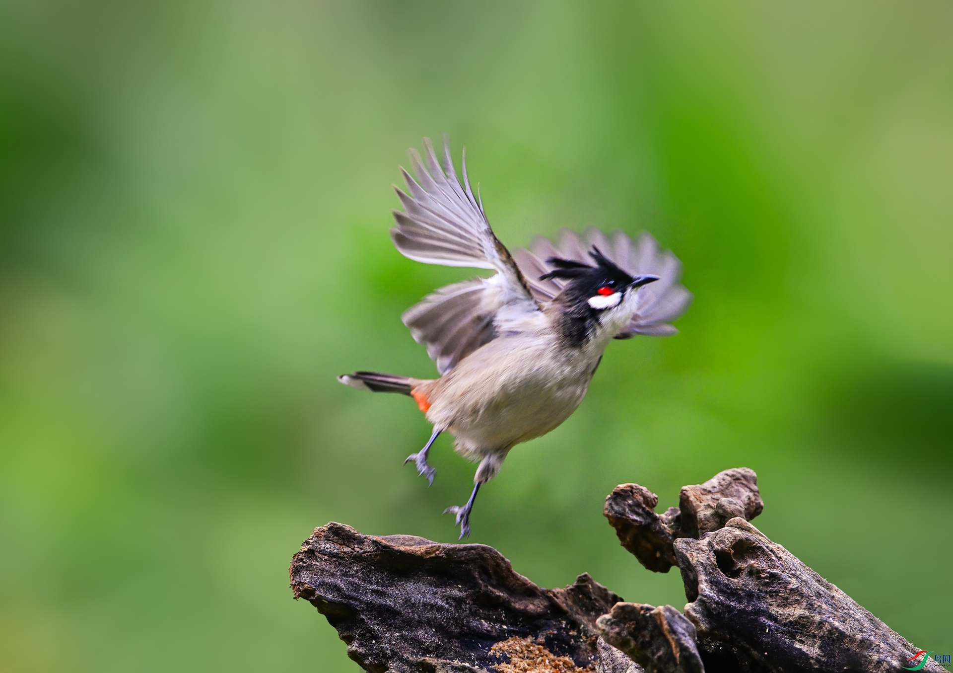 DSC_20422.jpg