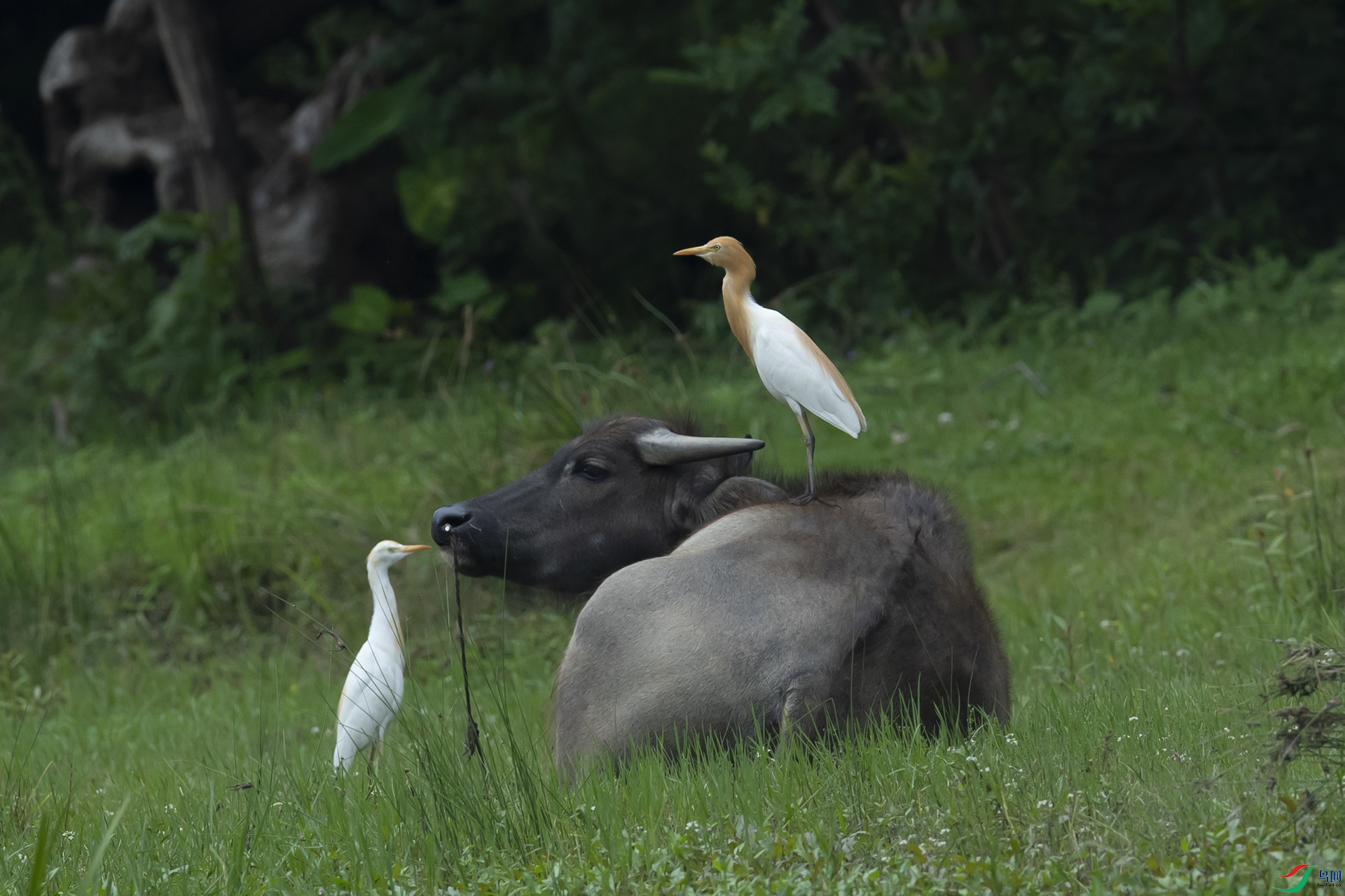 DSC_7939 ����.jpg