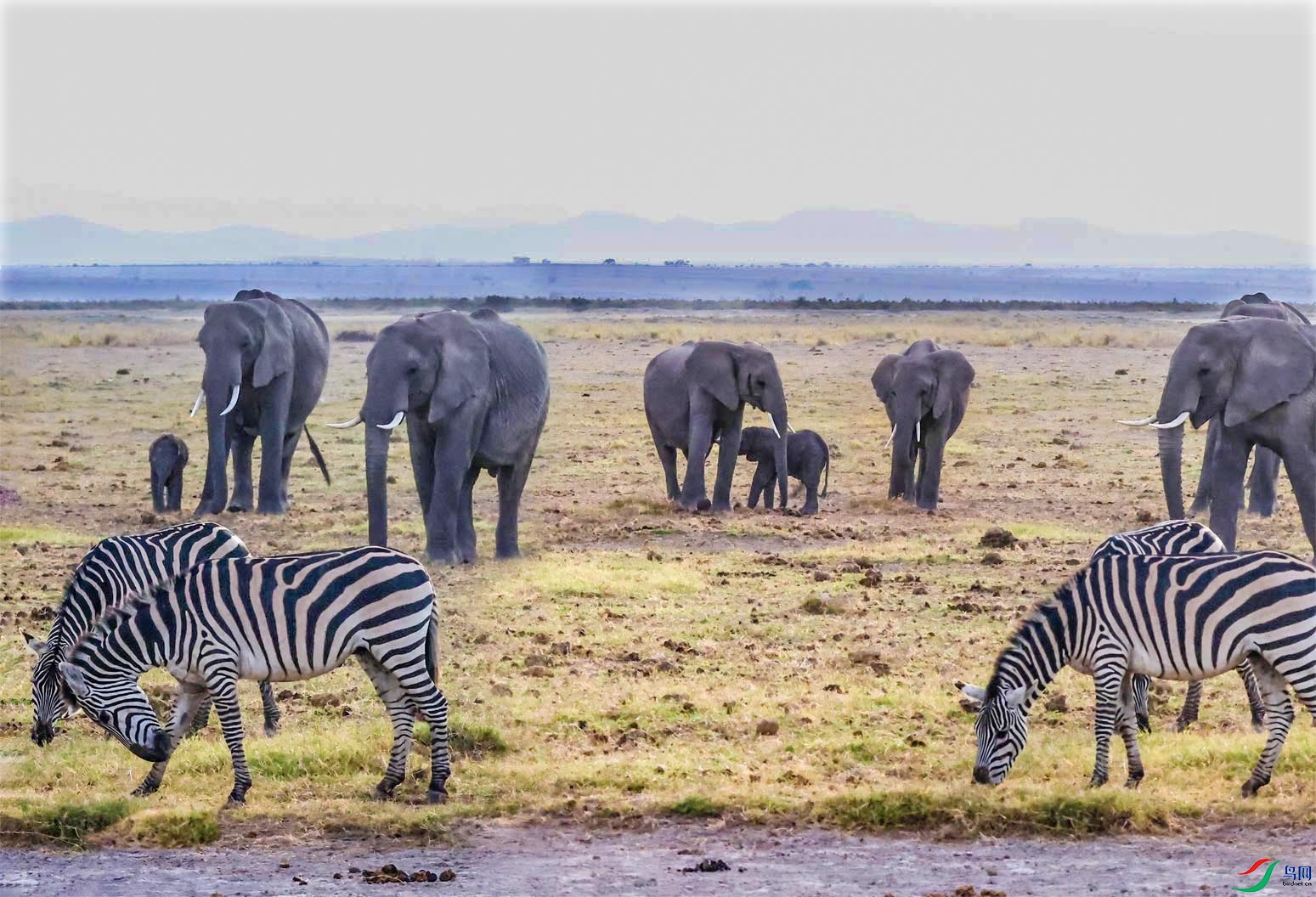 ż����Ⱥ29 ����.jpg