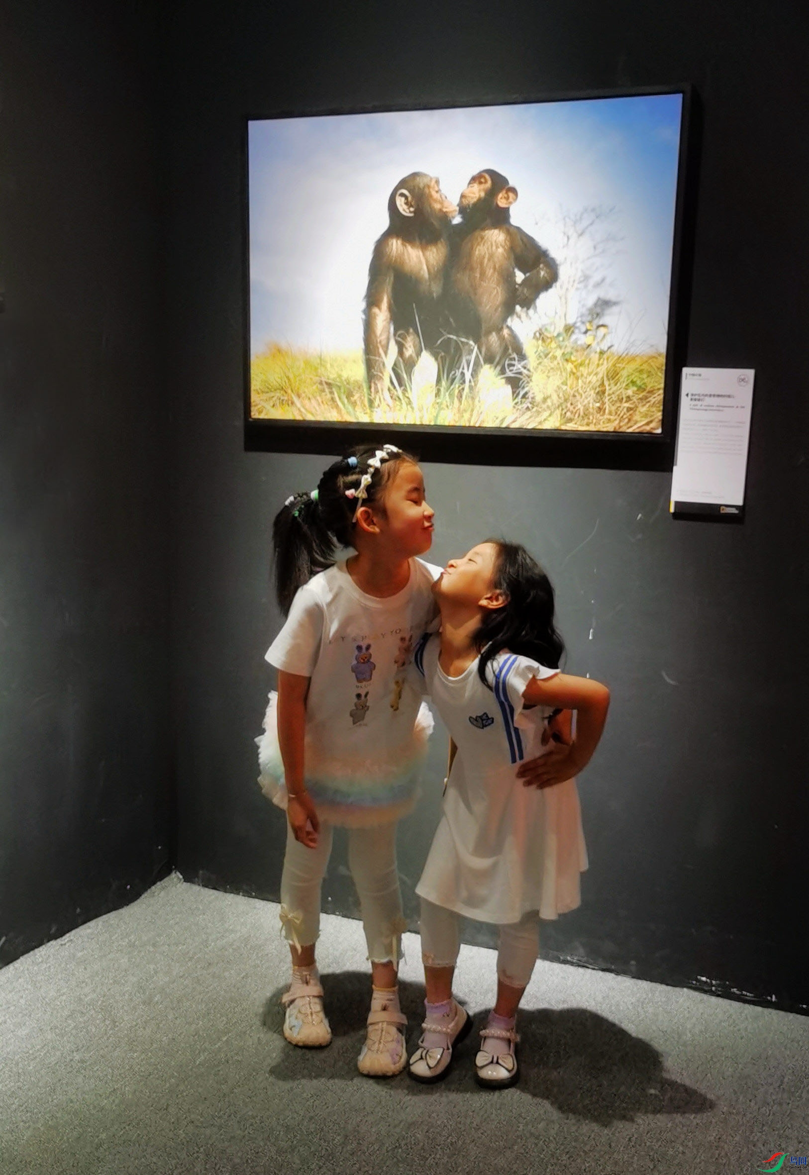 ͯȤ---ģ����