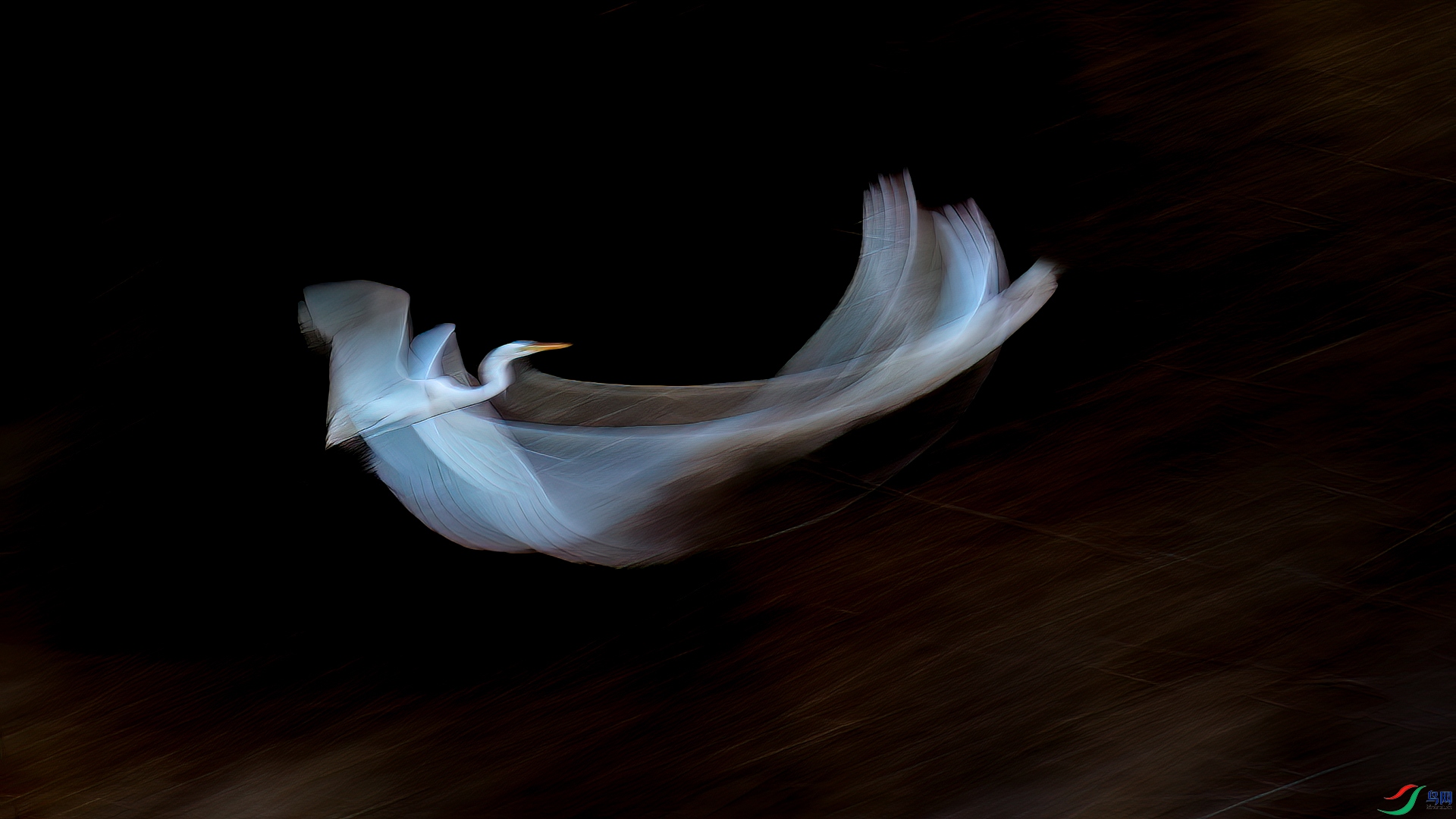 _V1Q8679.jpg
