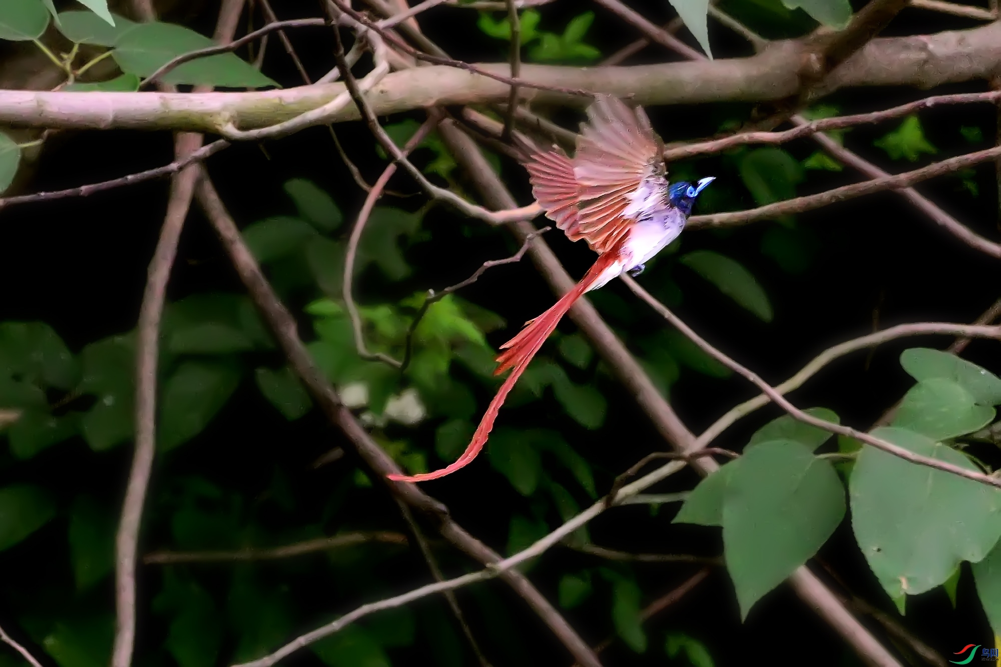 DSC_2257.jpg