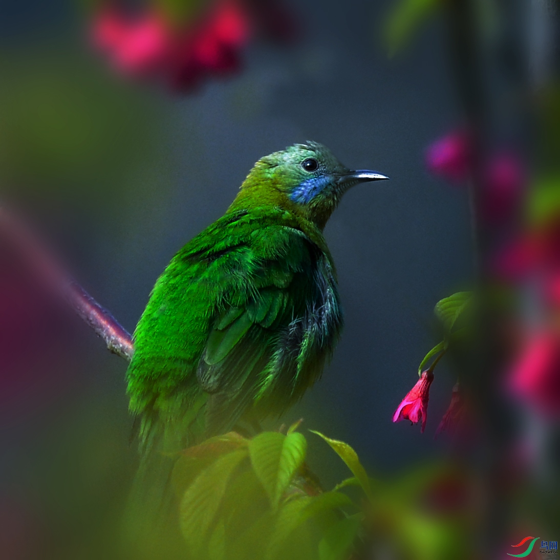 DSC_1745.jpg